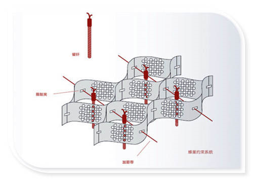 蜂巢格室_我们是厂家