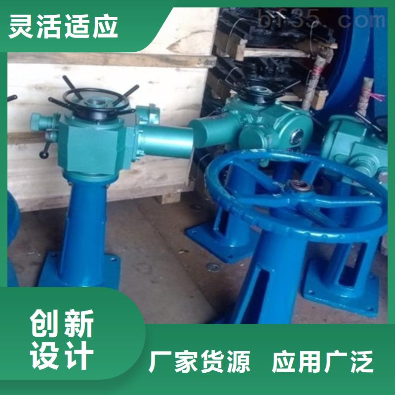吉安双吊螺杆启闭机一站式服务