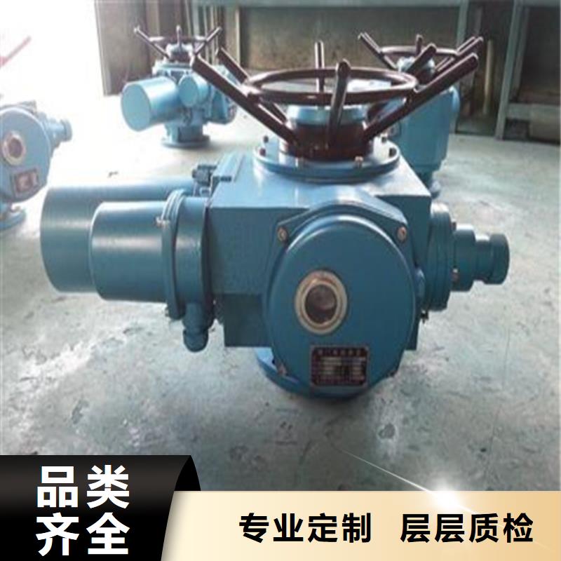 吉安双吊螺杆启闭机一站式服务