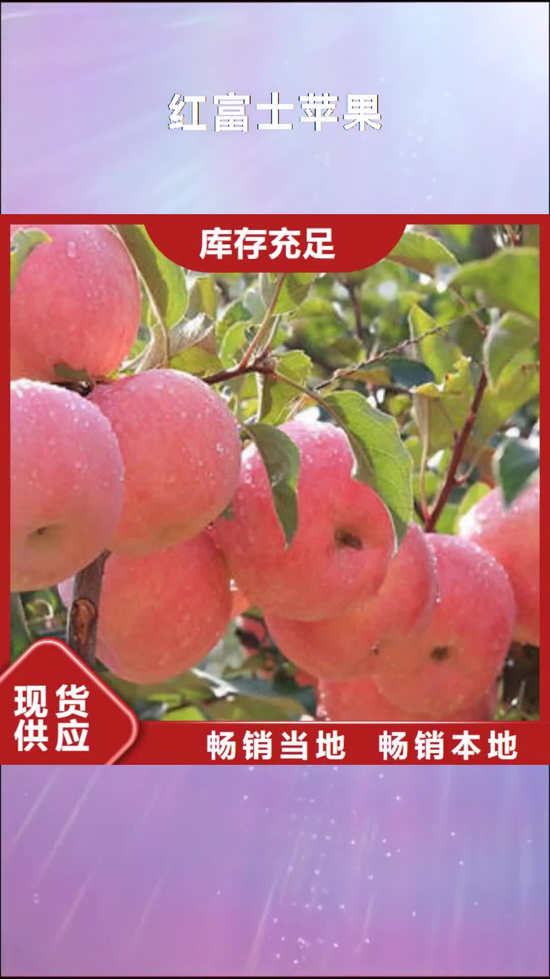 肇庆【红富士苹果】嘎啦苹果品质保证实力见证