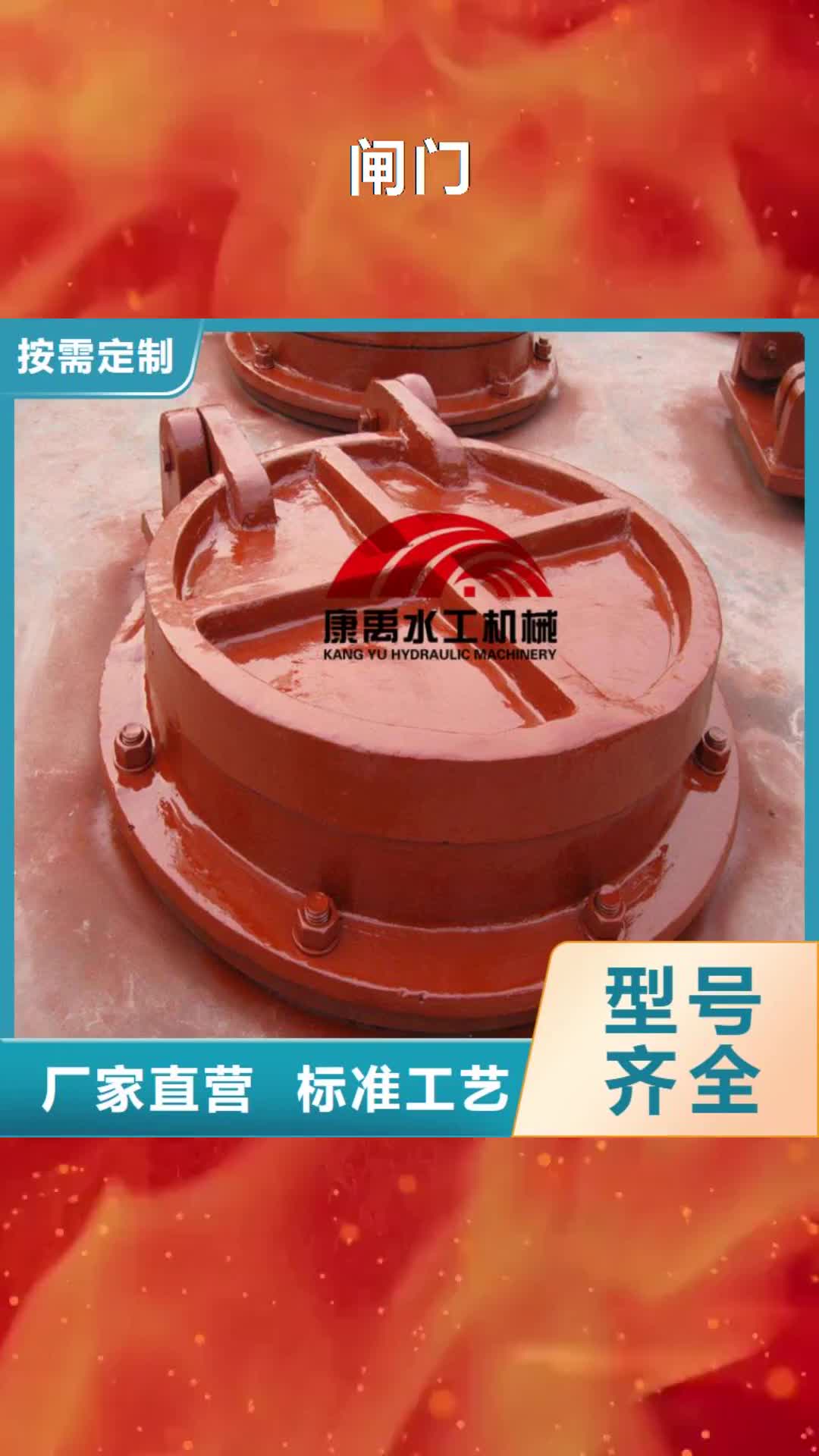 【江苏 闸门让客户买的放心】