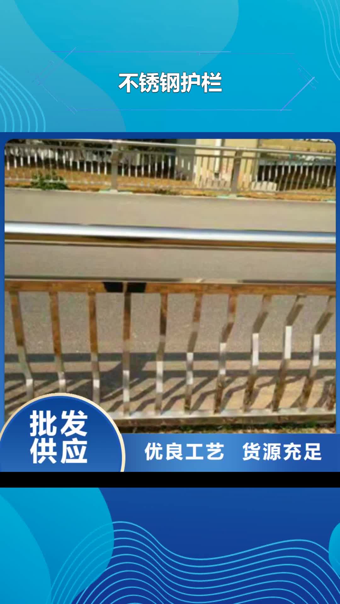 【靖江 不锈钢护栏_碳素钢喷塑护栏精心】