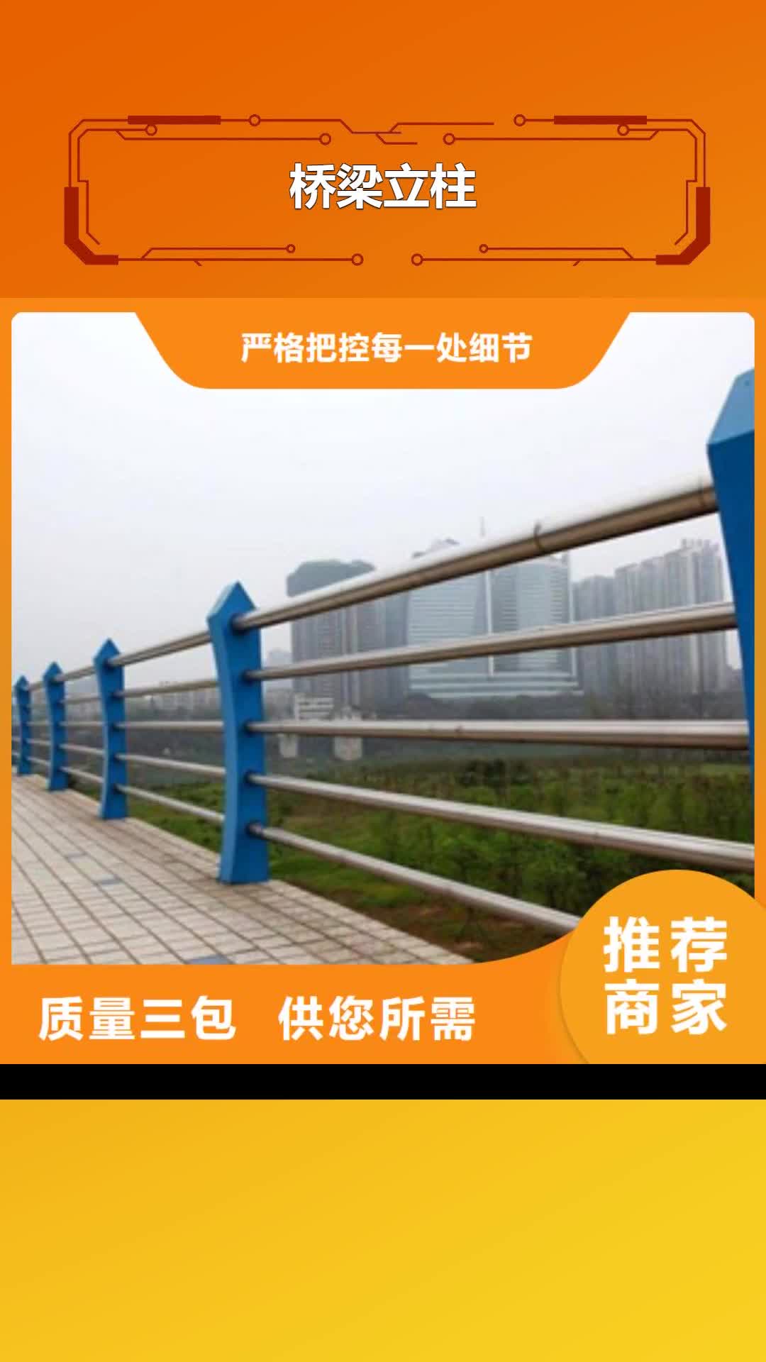 绵阳 桥梁立柱【碳素钢喷塑护栏】生产安装