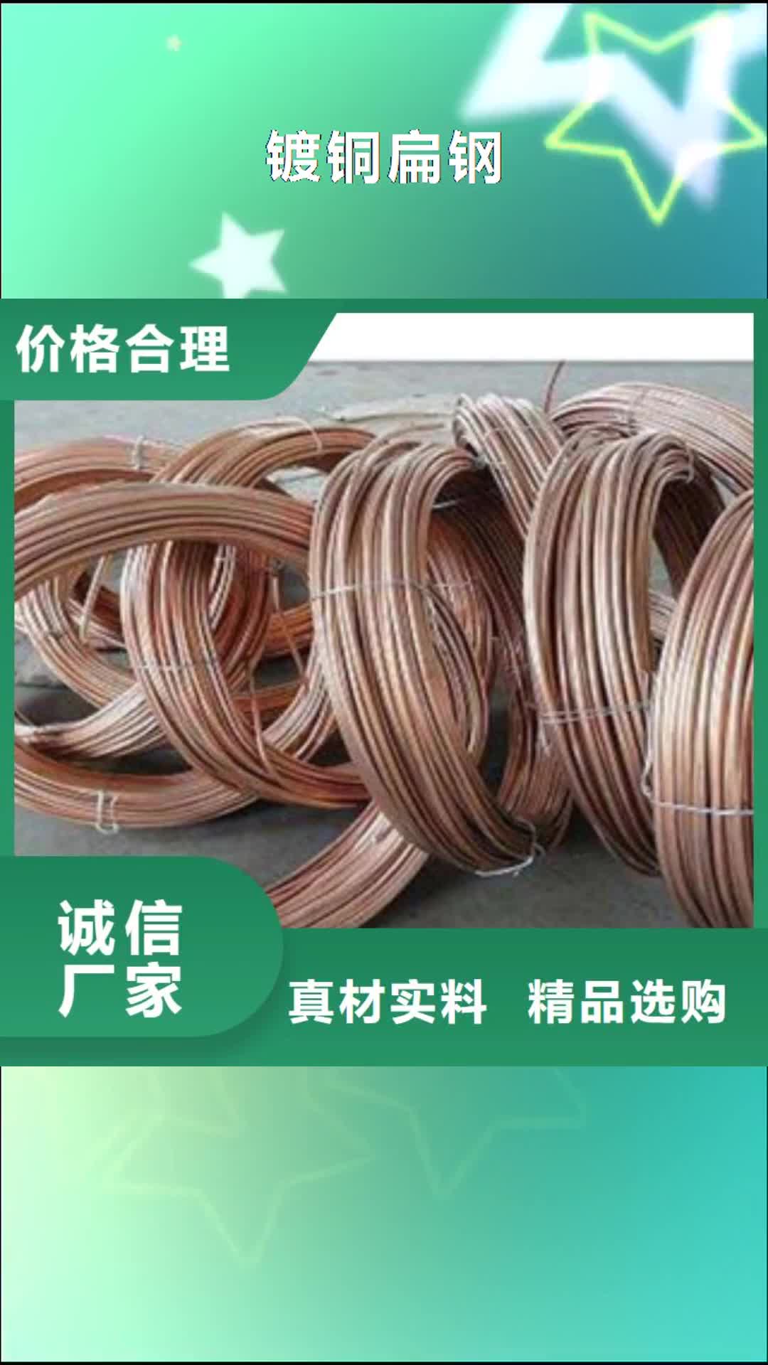 黑河 镀铜扁钢,【热镀锌角钢】多种规格可选