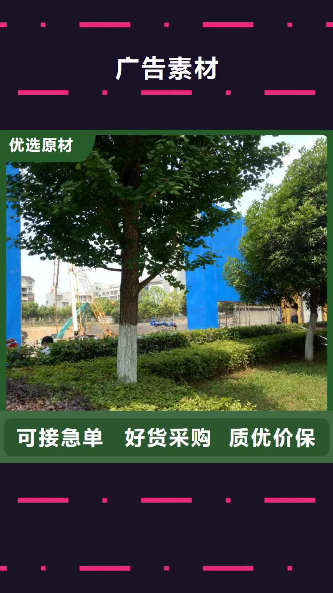 中山 广告素材品质信得过
