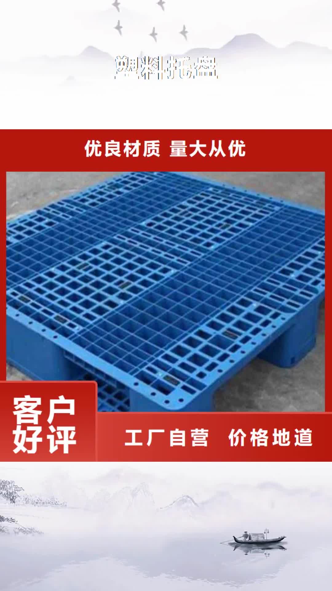 辽阳【塑料托盘】 塑料托盘材质懂您所需