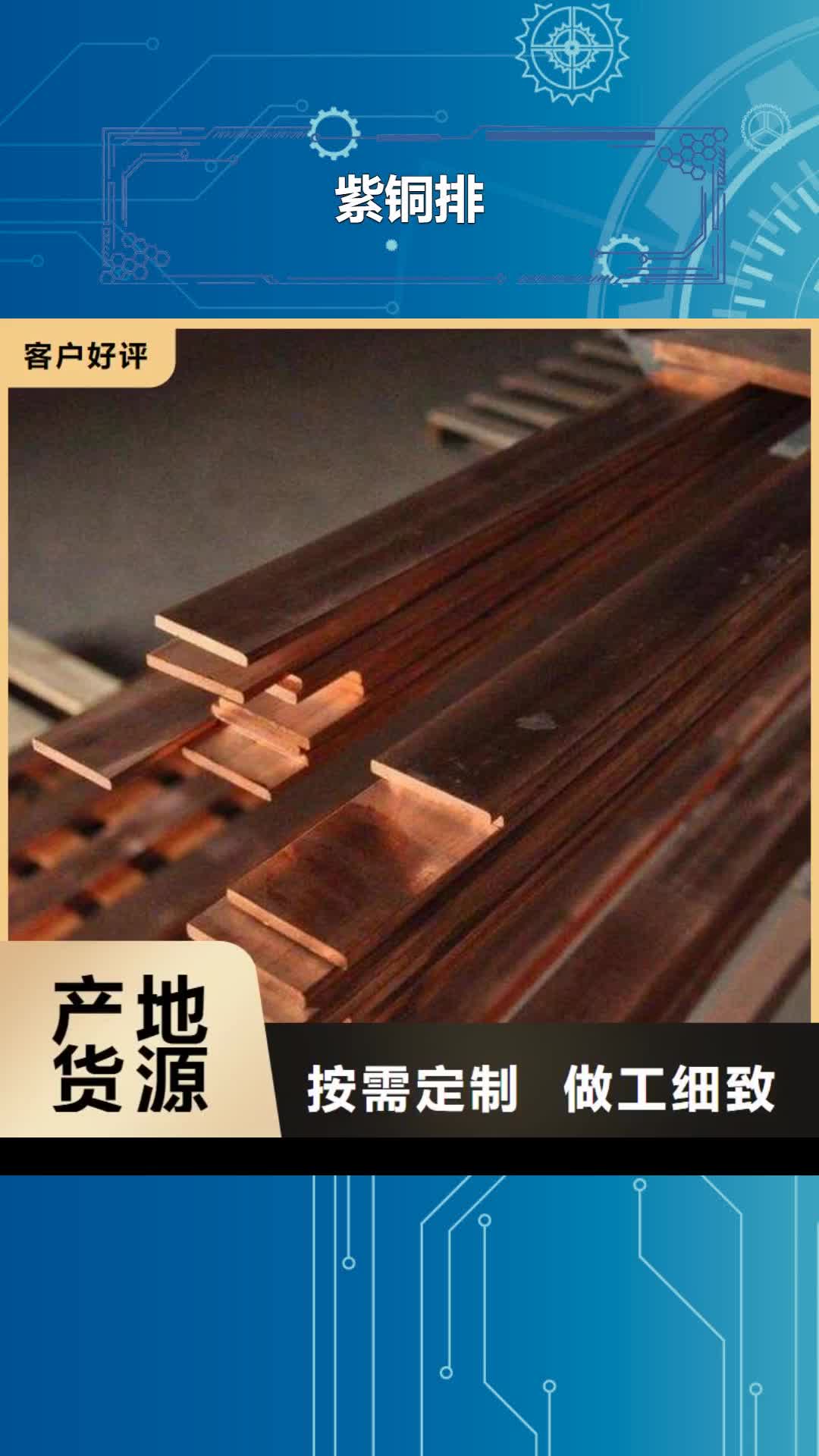 长春【紫铜排】_热镀锌扁钢用途广泛