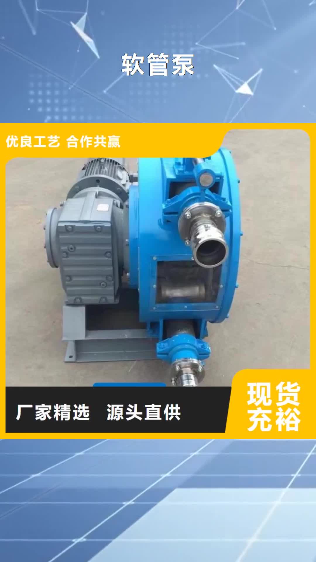 安徽【软管泵】-拦水带成型机严谨工艺