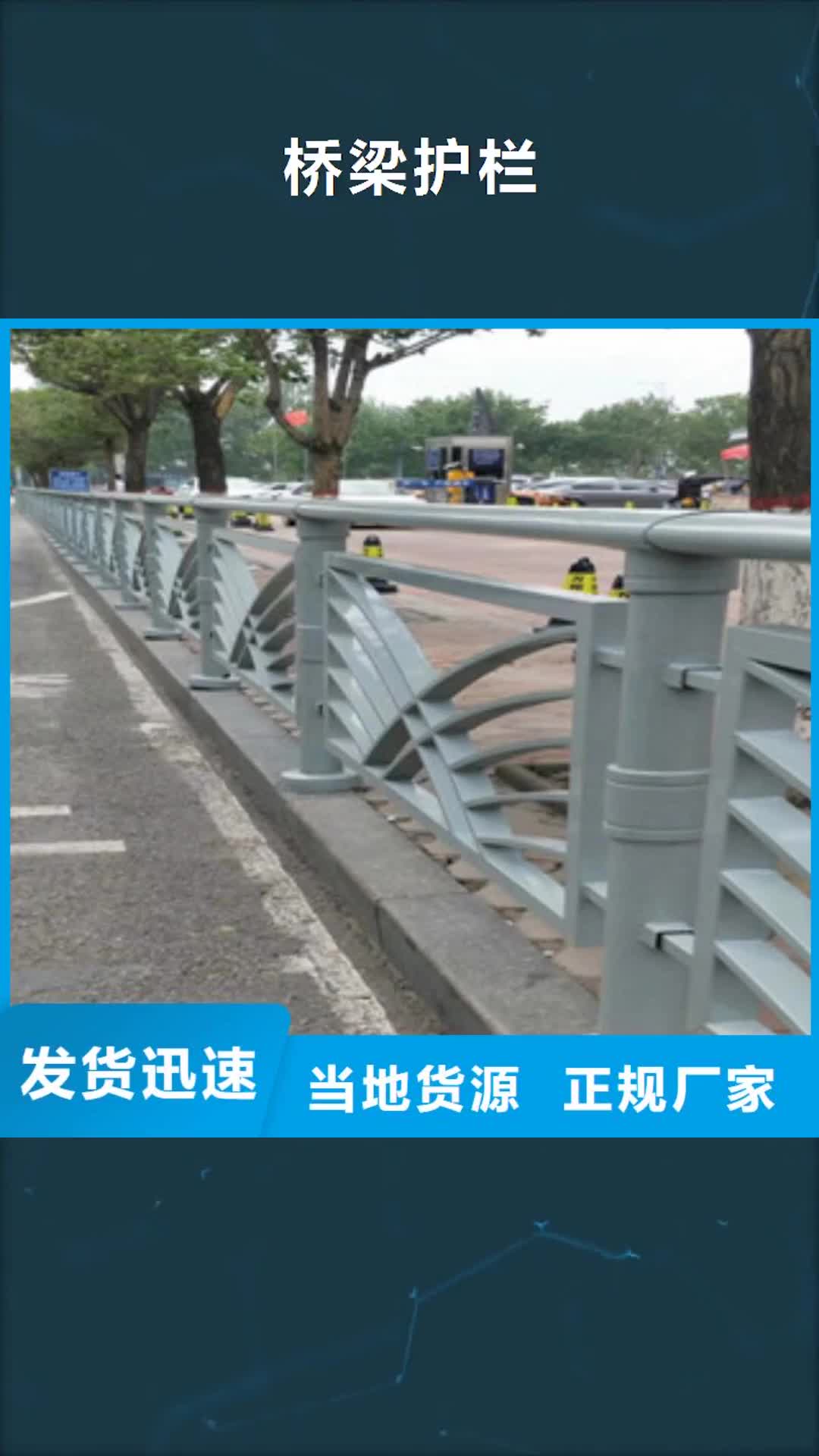 泰州【桥梁护栏】 防撞护栏满足客户需求