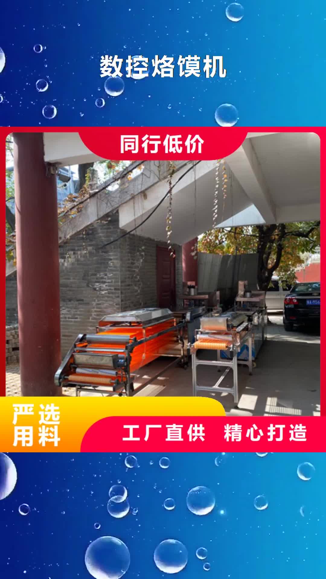【眉山 数控烙馍机_河粉机厂家现货供应】
