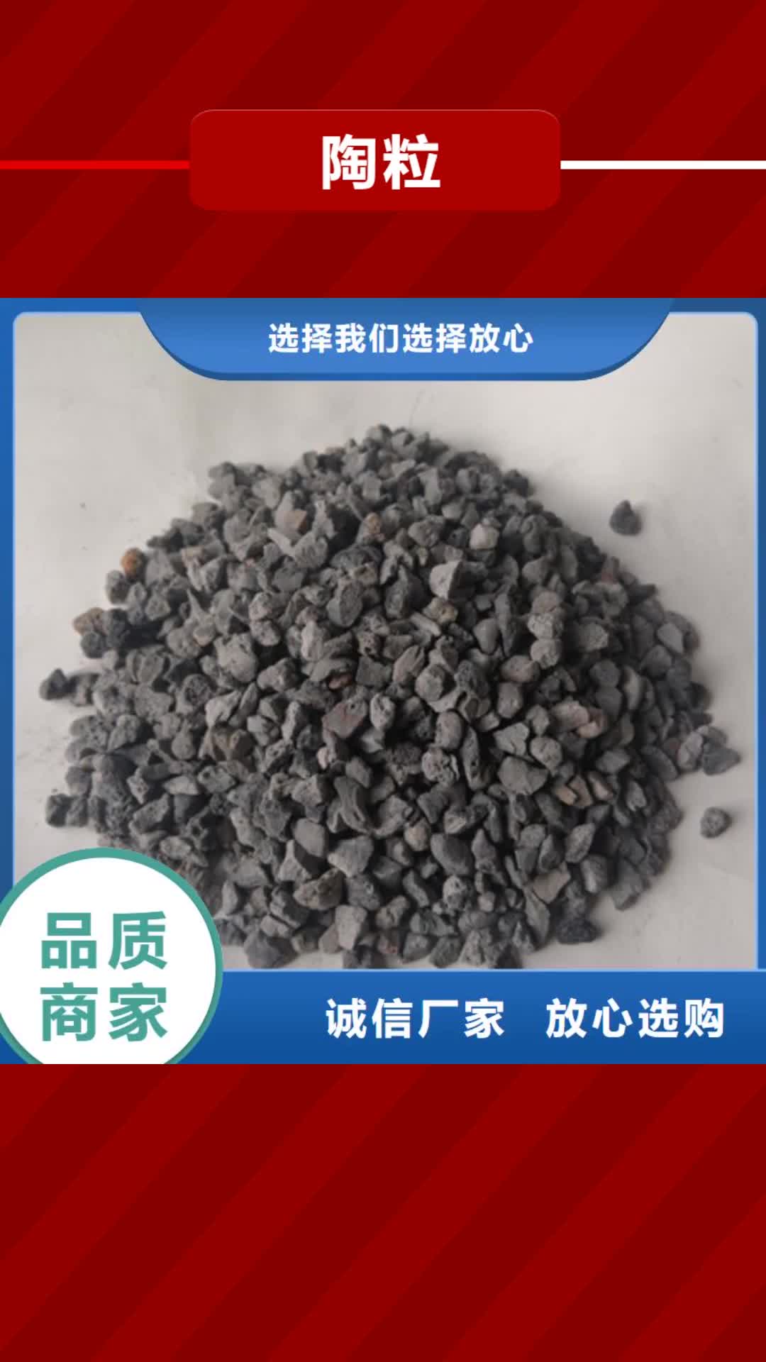 【淄博 陶粒_泡沫滤珠用途广泛】