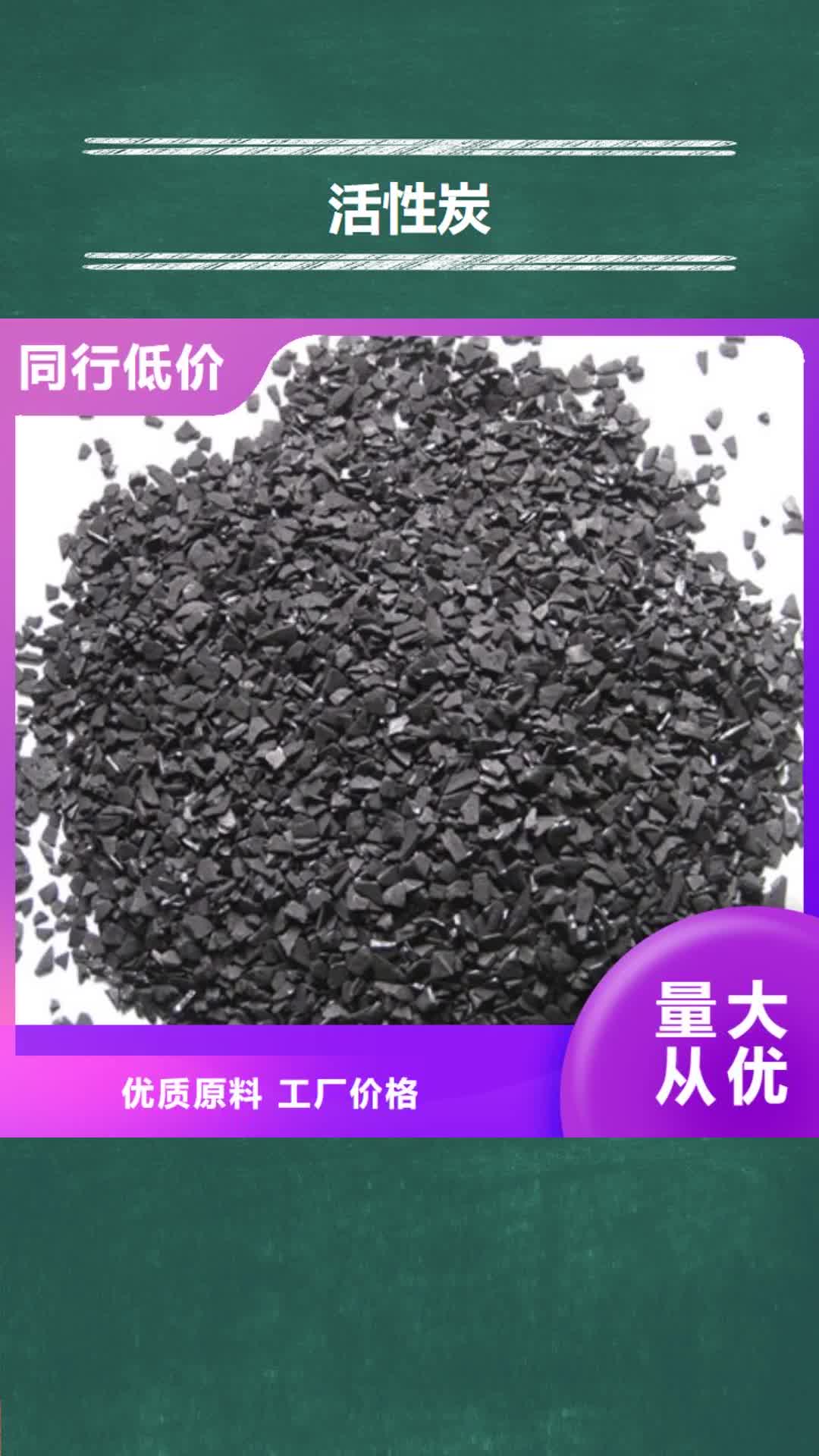 桂林 活性炭 【陶粒】好厂家有担当