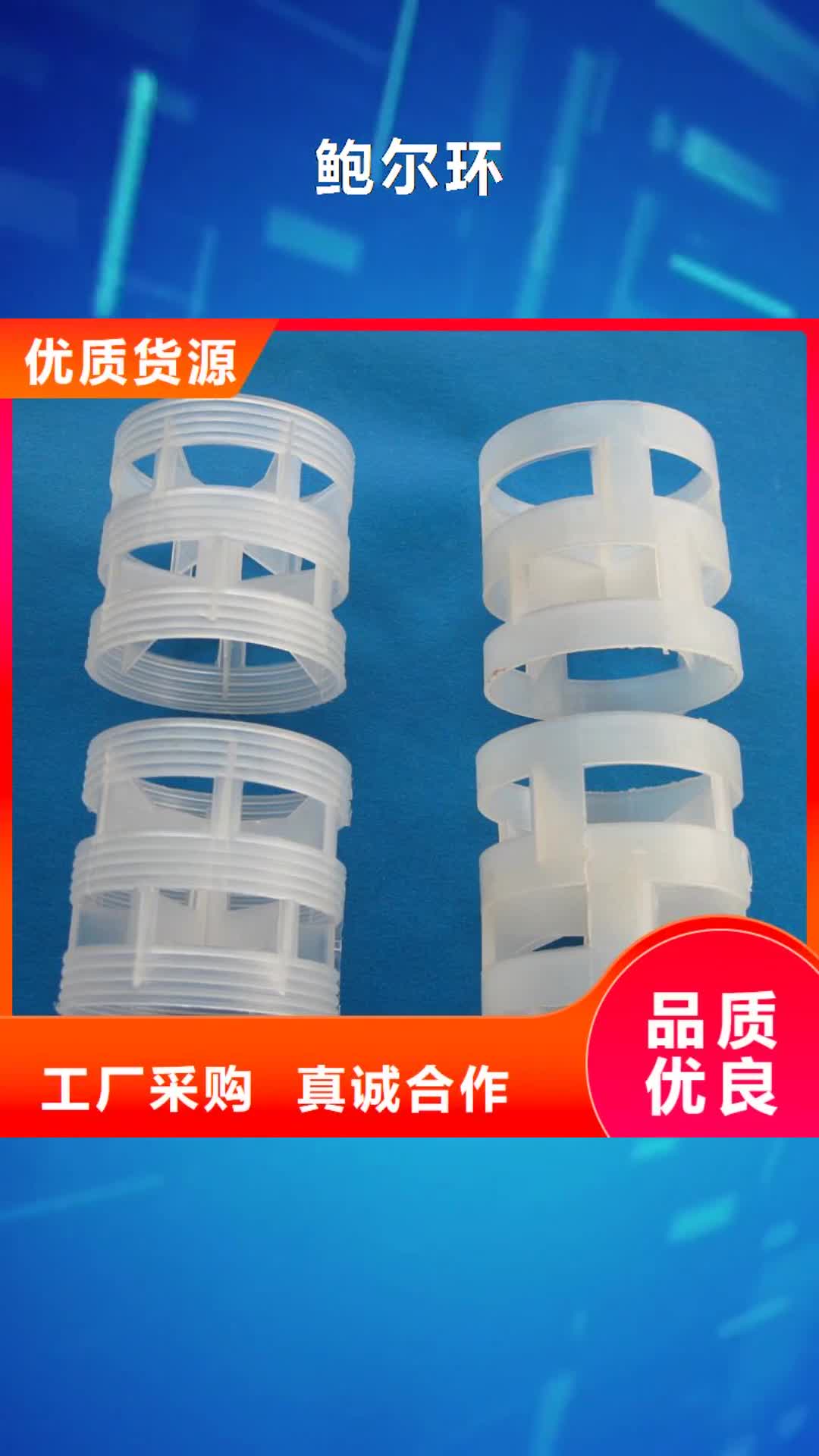 【直辖 鲍尔环,纤维球高质量高信誉】