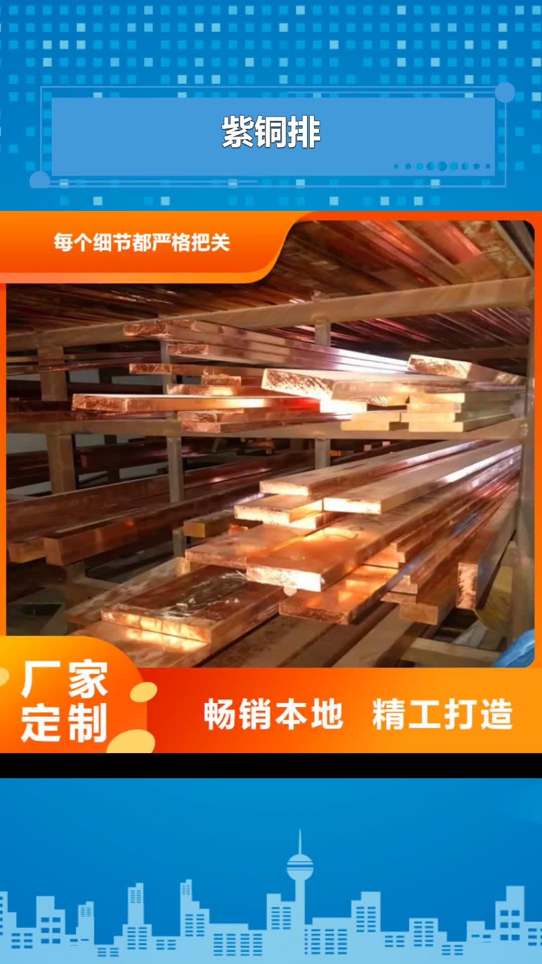 【西双版纳 紫铜排铜绞线欢迎来厂考察】