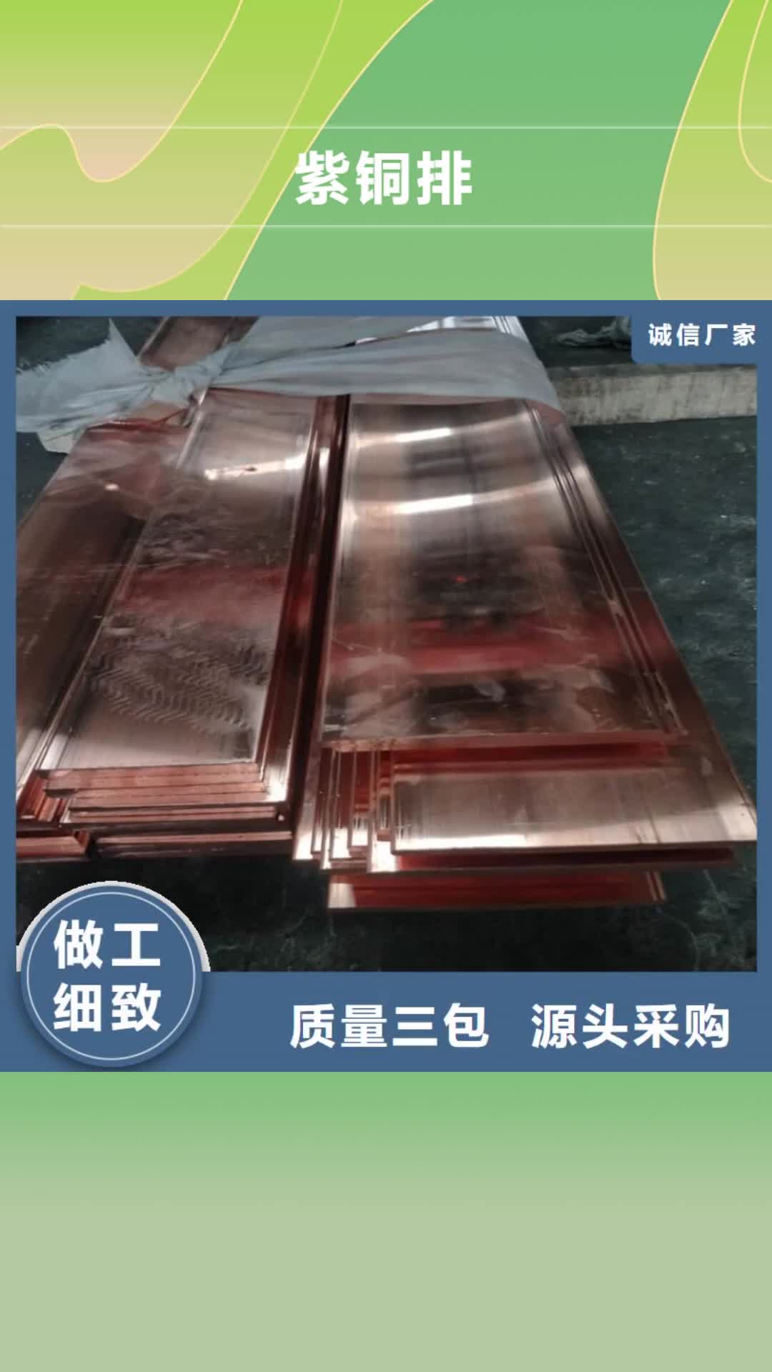 【普洱 紫铜排_紫铜带产品细节参数】