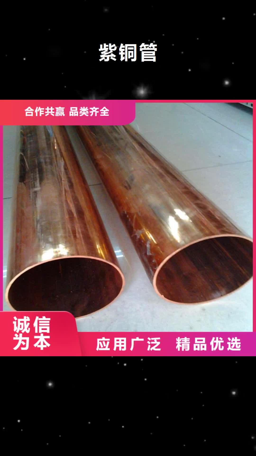 葫芦岛 紫铜管-【紫铜排】价格合理