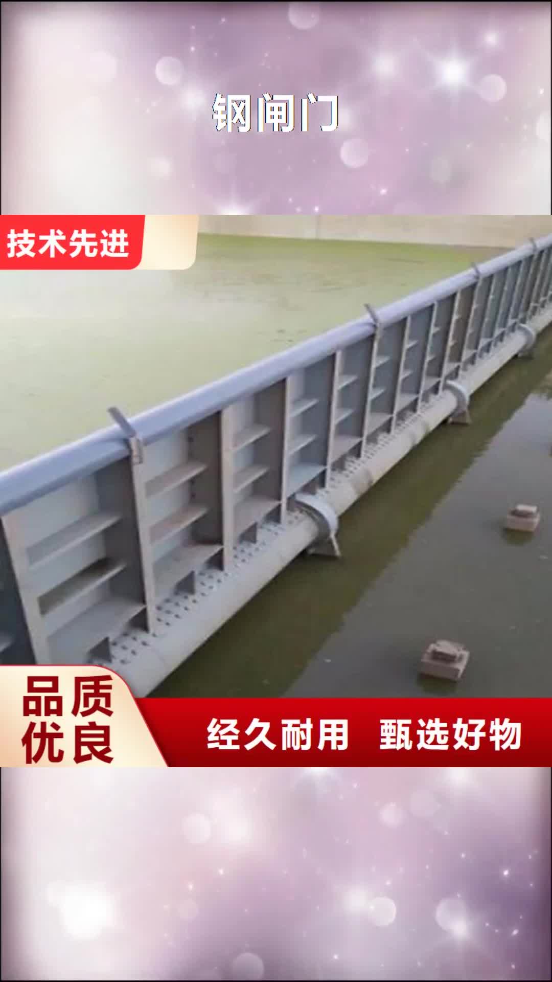 深圳【钢闸门】 钢坝闸门工厂直供