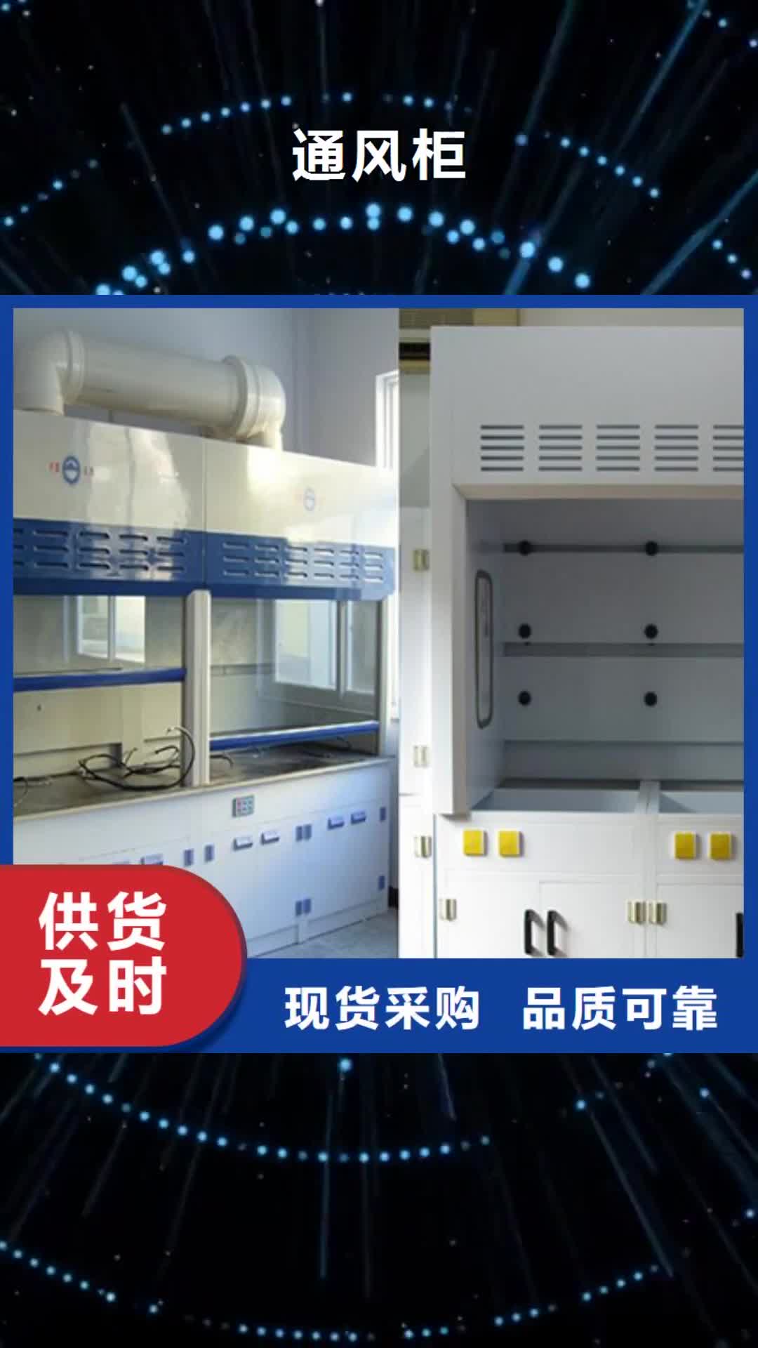 阜阳 通风柜-【实验台】实力公司