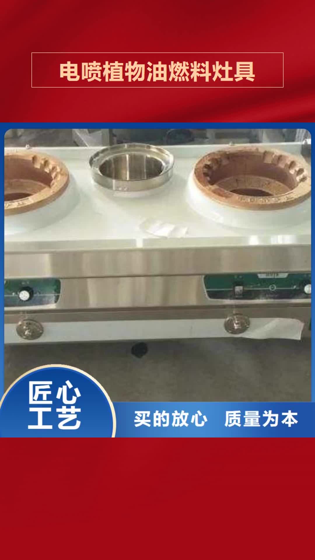 贺州 电喷植物油燃料灶具,【无醇燃料 】让利客户