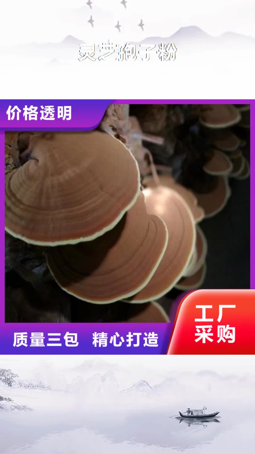 陇南【灵芝孢子粉】,灵芝孢子粉价格现货齐全售后无忧