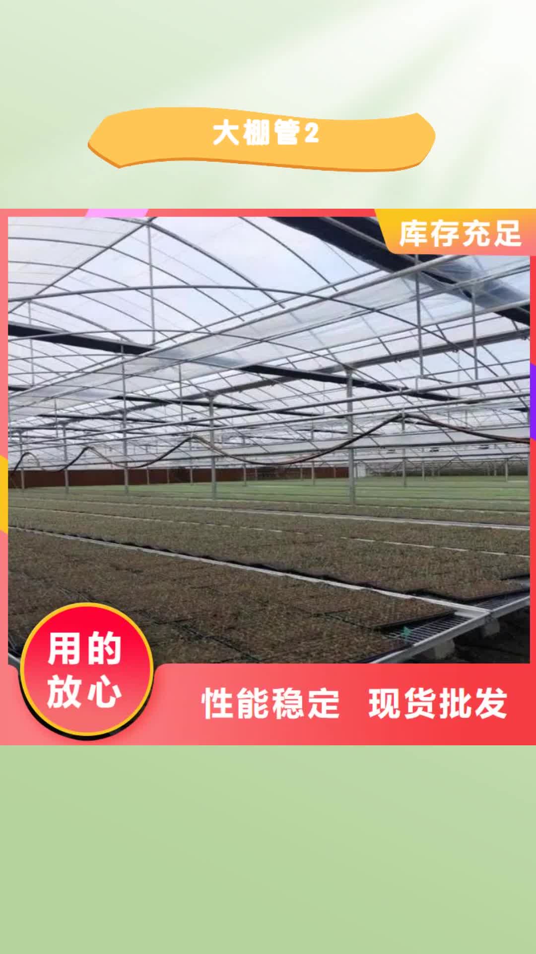 阳江【大棚管2】-方矩管免费寄样