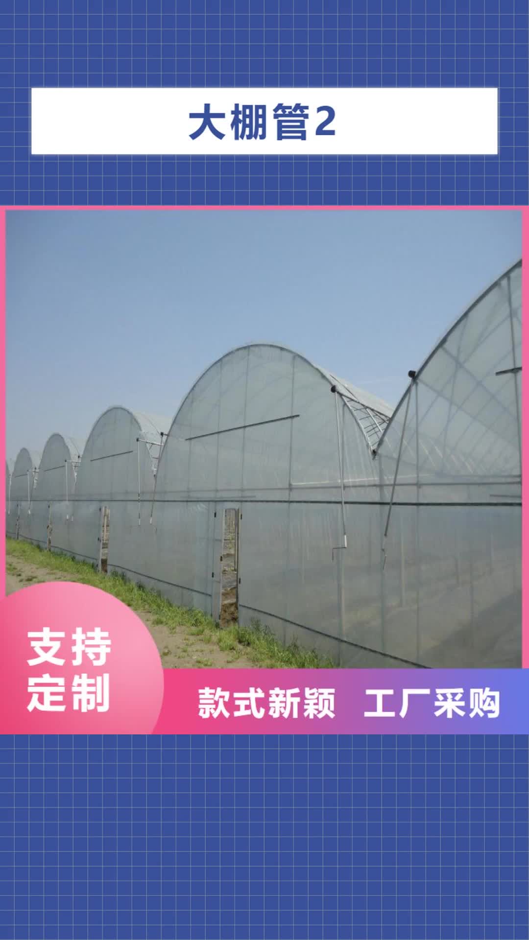 【日喀则 大棚管2 方矩管厂家直销直供】