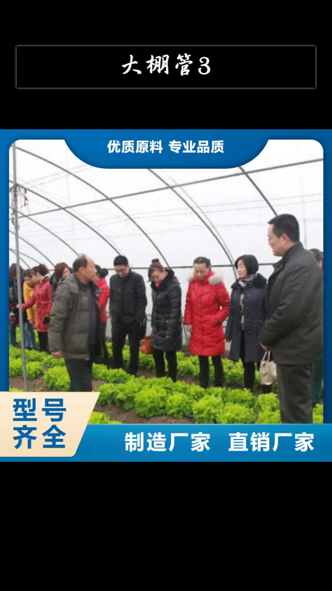 朝阳大棚管3
蔬菜温室大棚管一站式采购方便省心
