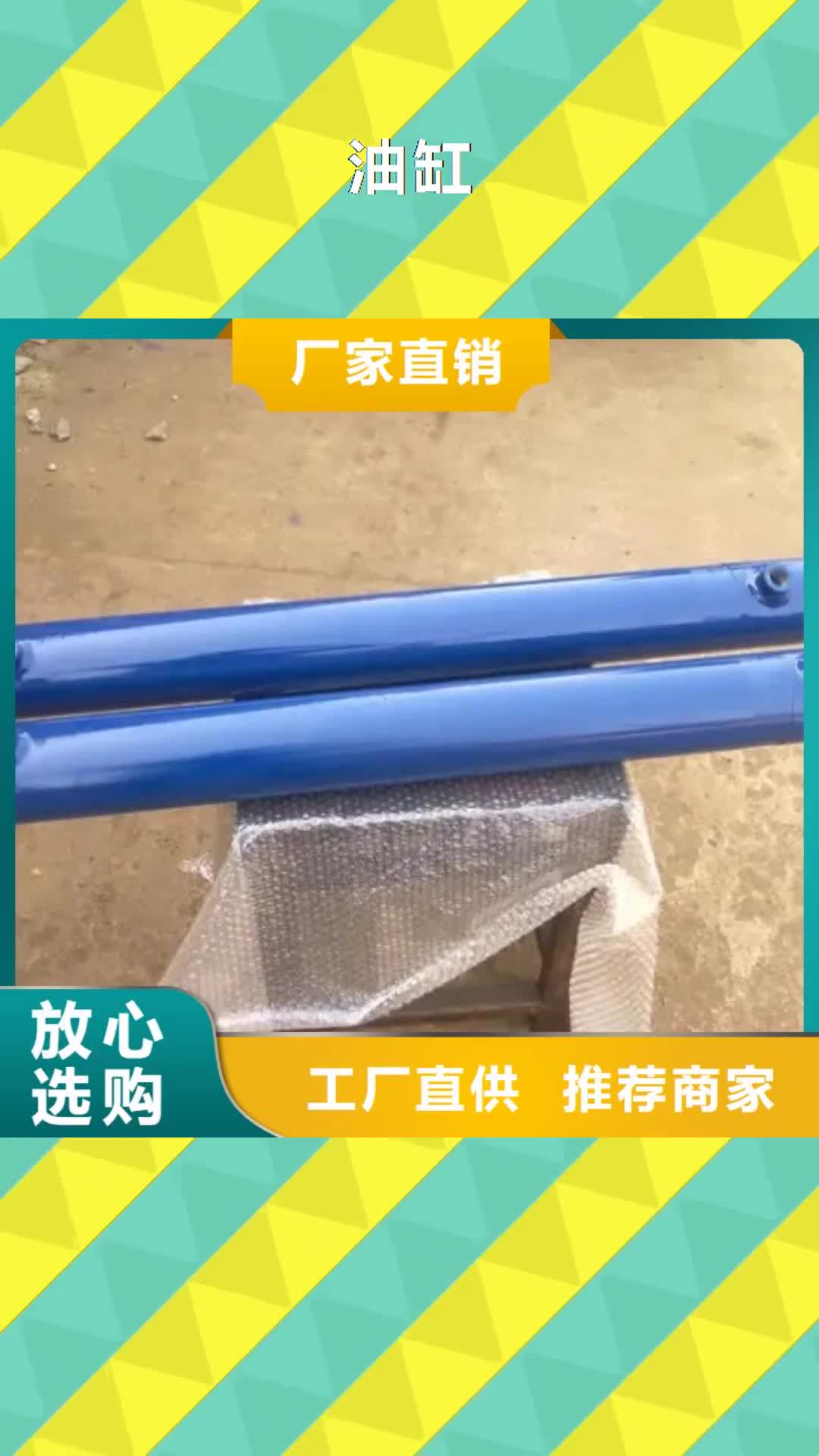 拉萨【油缸】-传菜电梯厂家多种规格库存充足