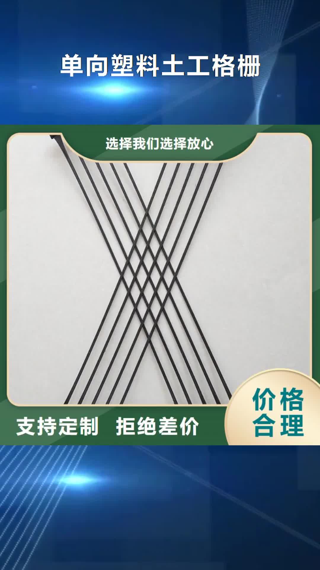 黑龙江 单向塑料土工格栅_【蜂巢格室】厂家案例