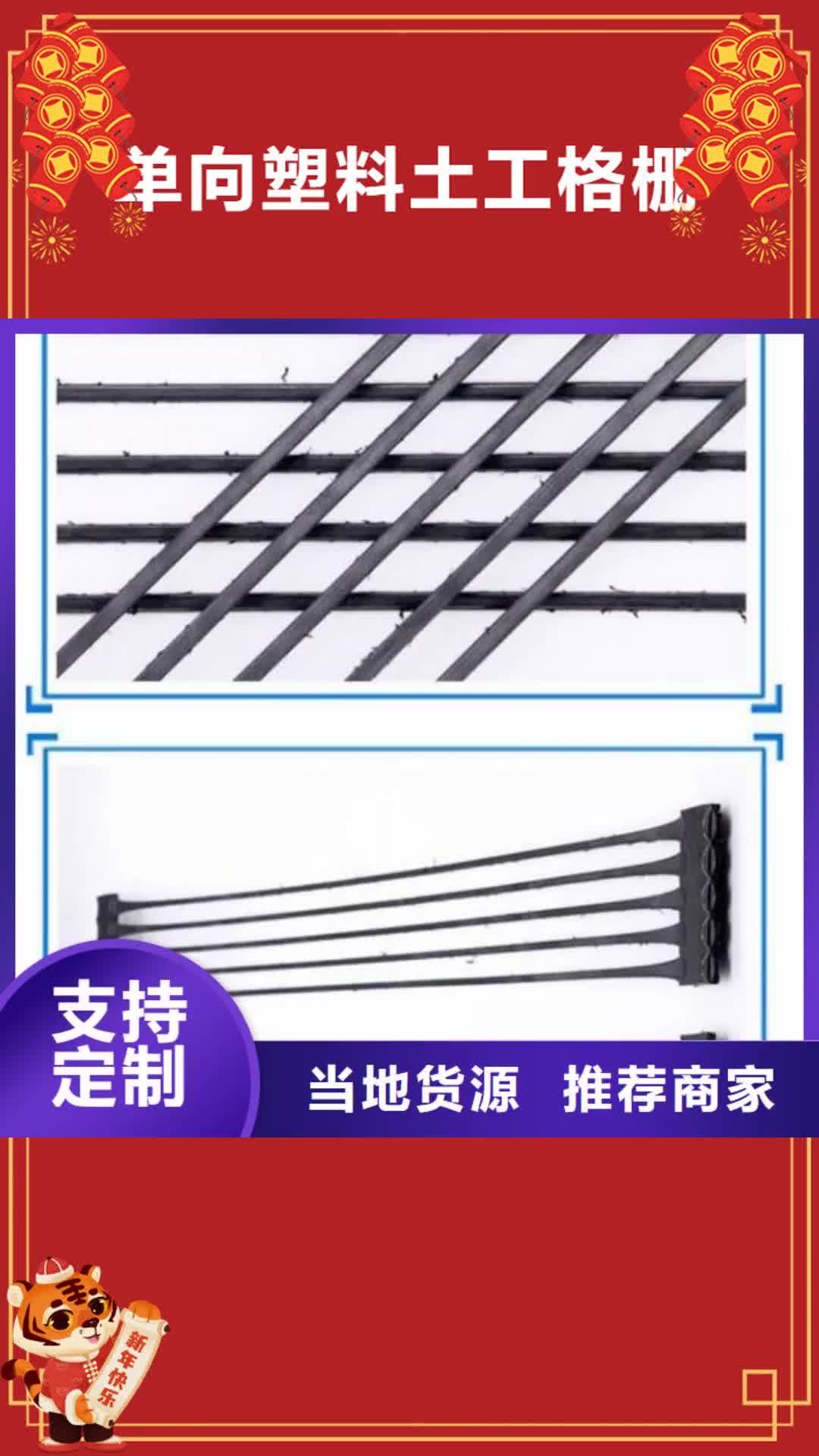 【阜新 单向塑料土工格栅,PP焊接土工格栅今年新款】