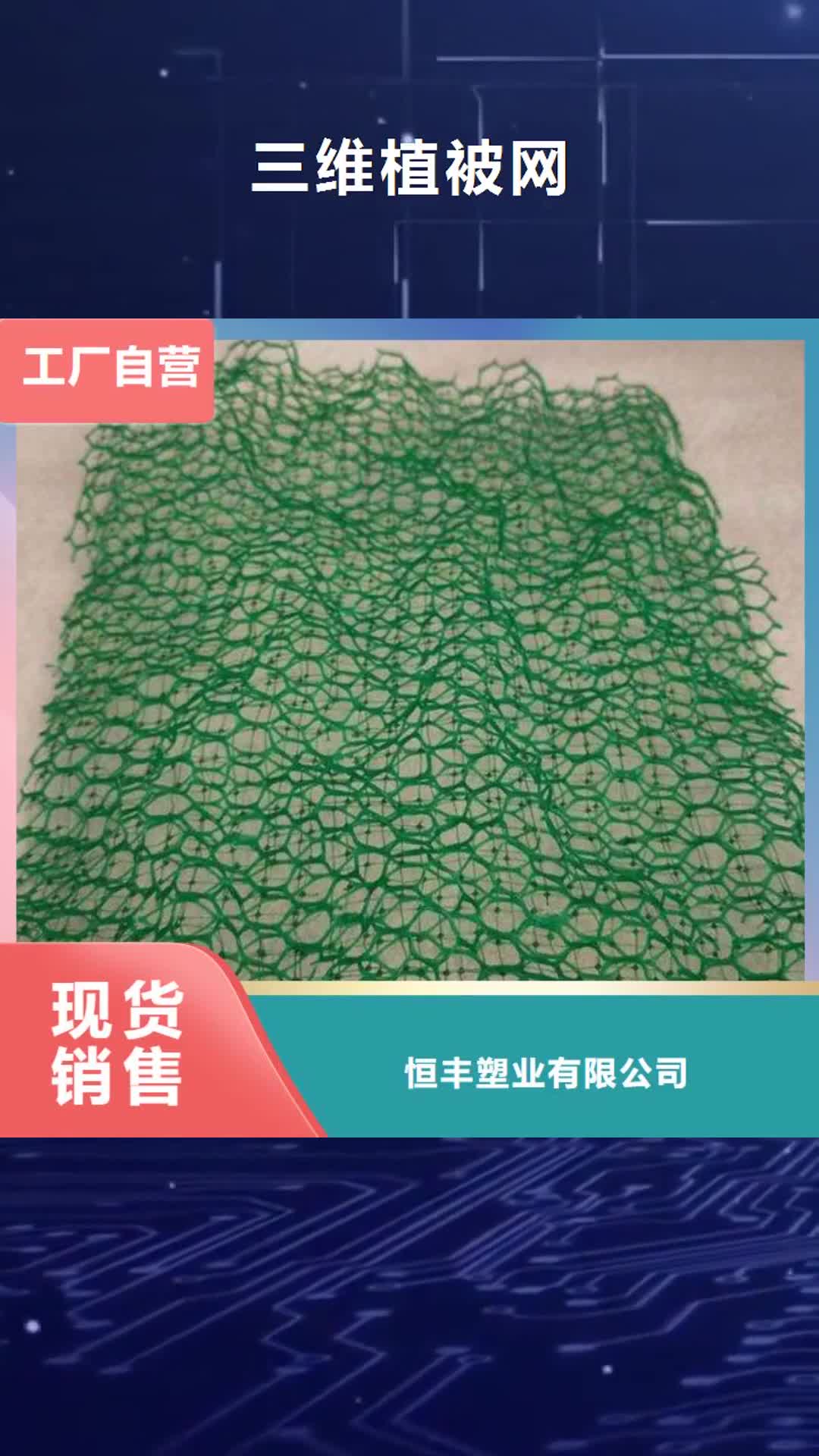 鞍山 三维植被网-【双向拉伸塑料格栅】种类多质量好