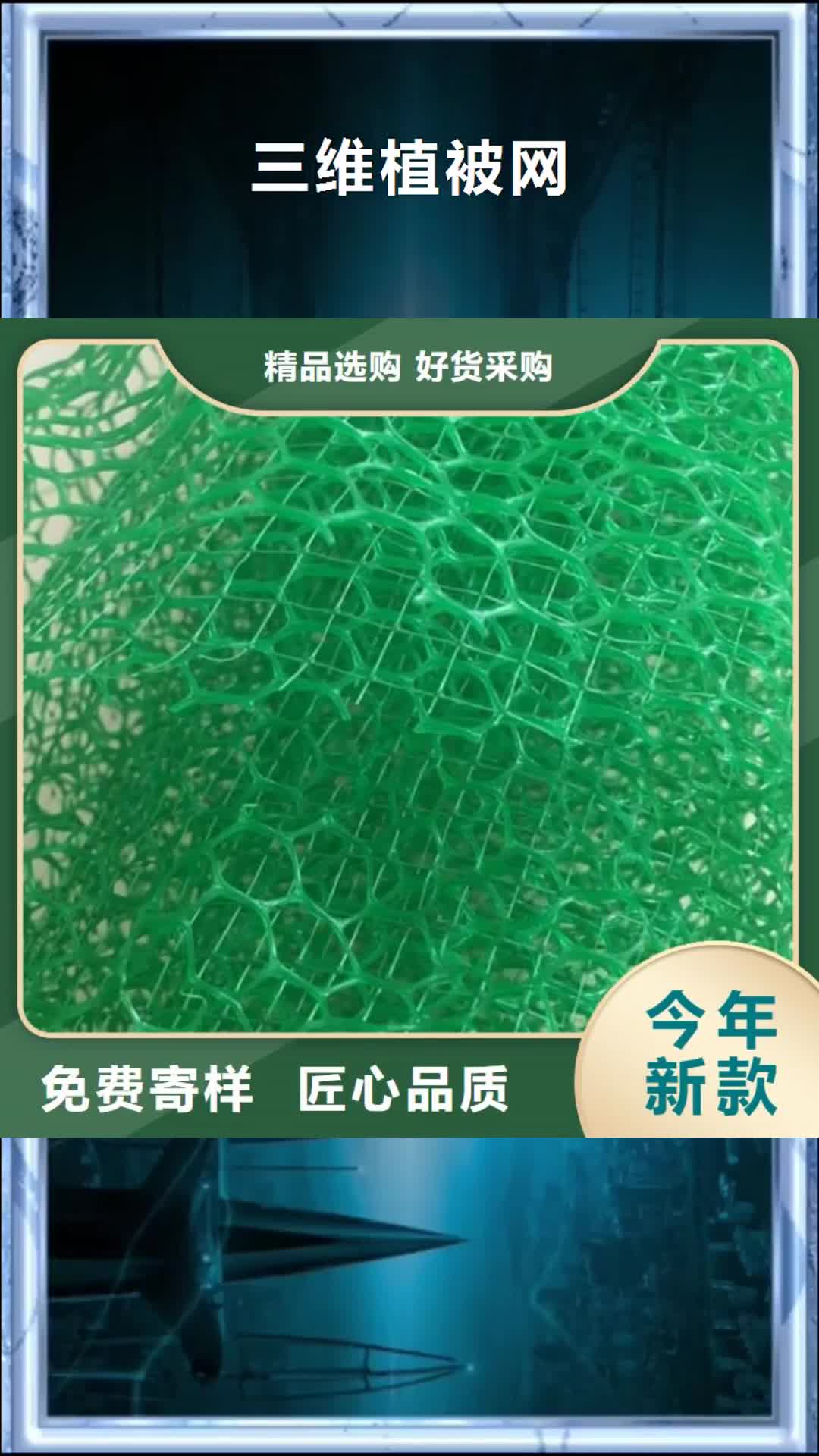 【宜宾 三维植被网_土工格室产地货源】