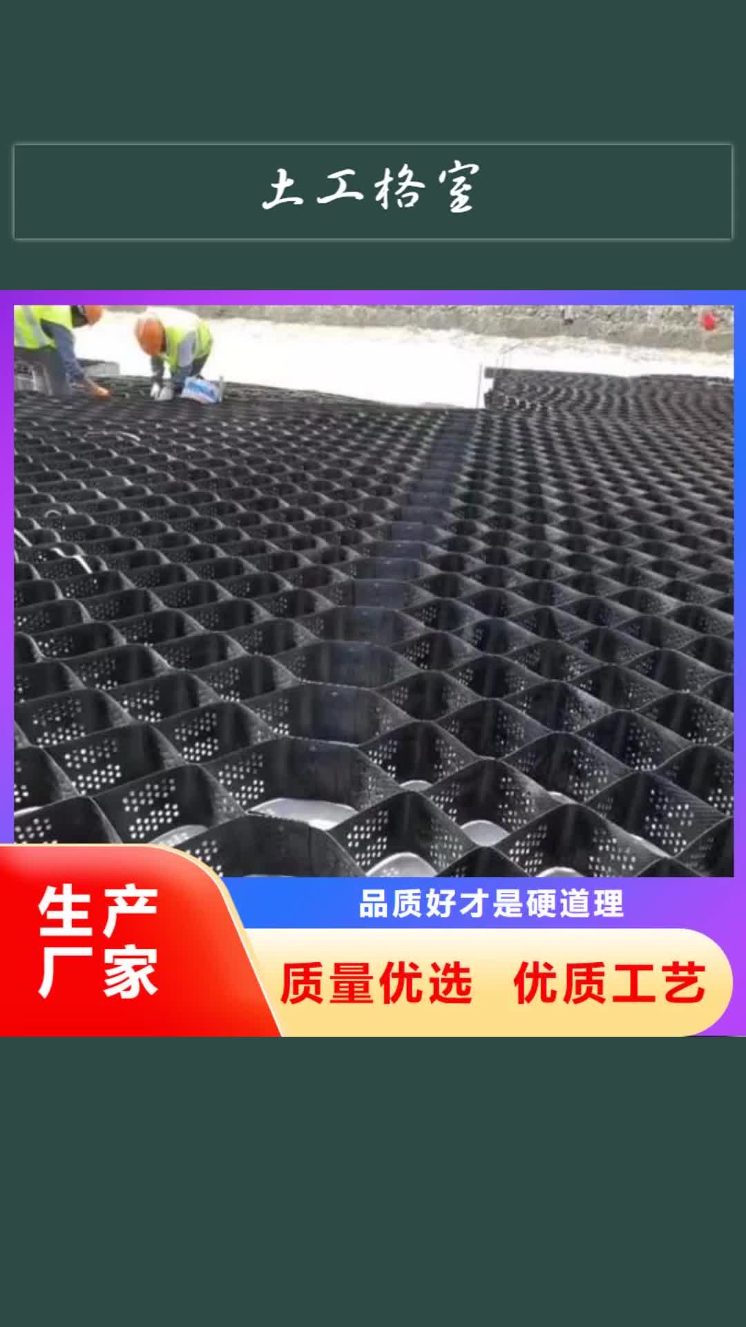 阿坝 土工格室 【三维复合排水网】价格有优势