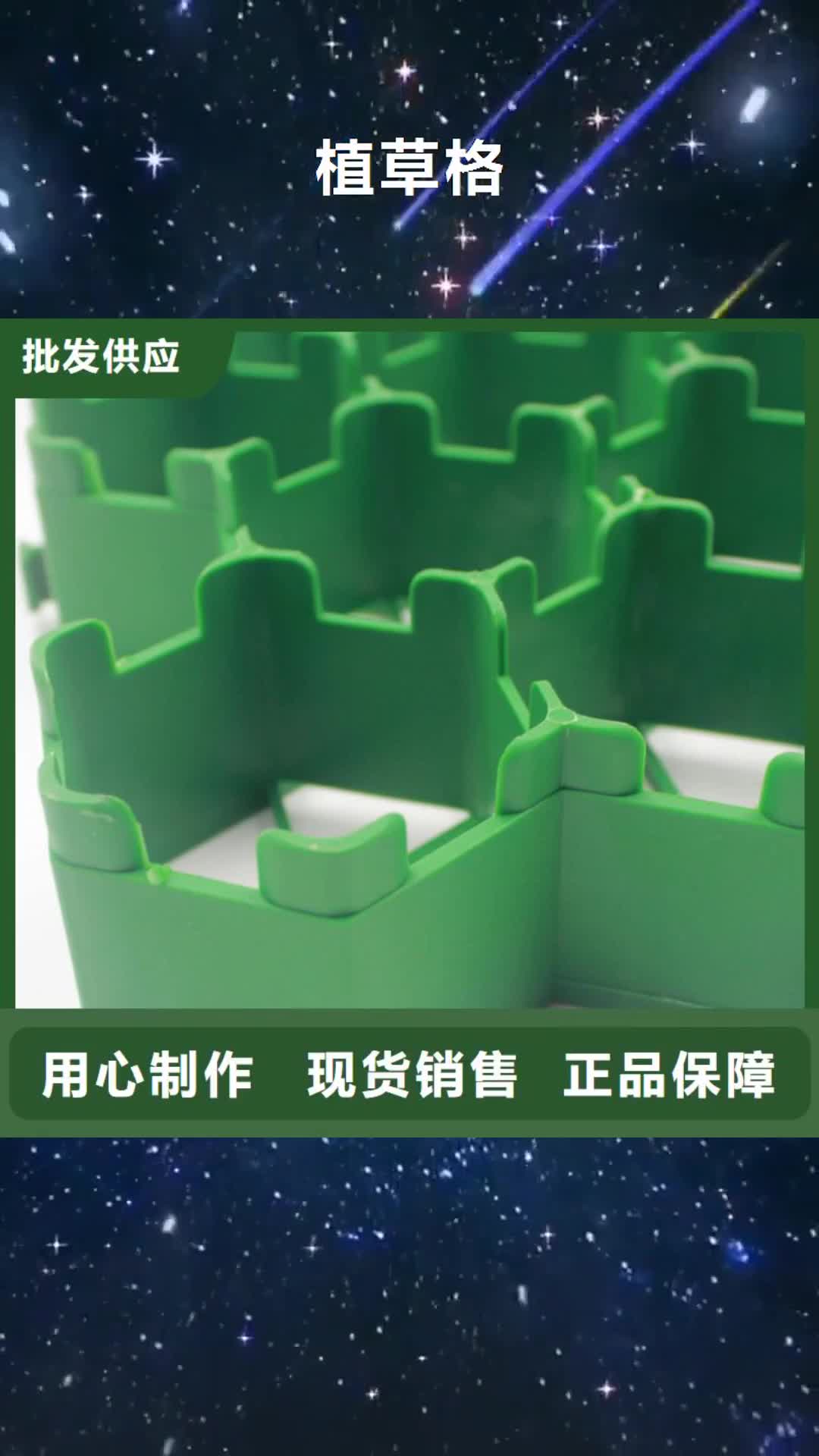 西藏【植草格】蜂巢格室严选好货