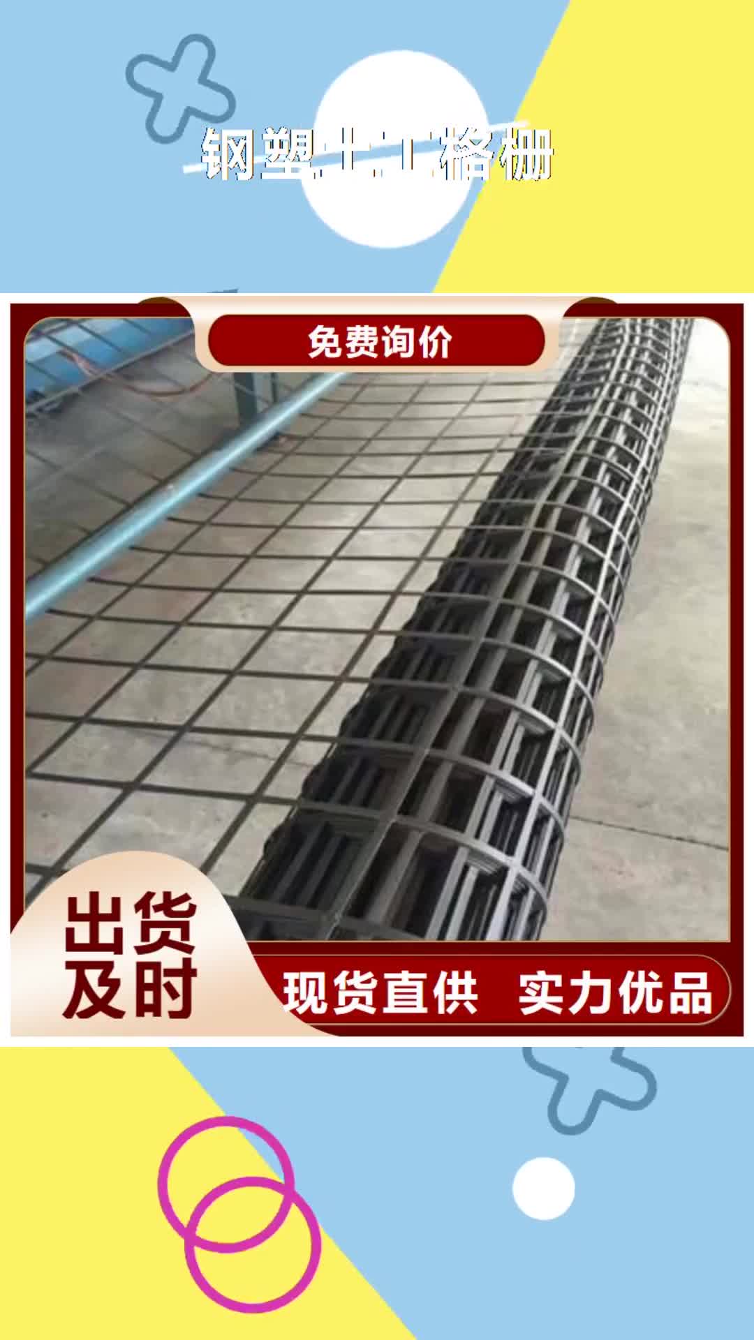 定西【钢塑土工格栅】-HDPE土工膜制造生产销售