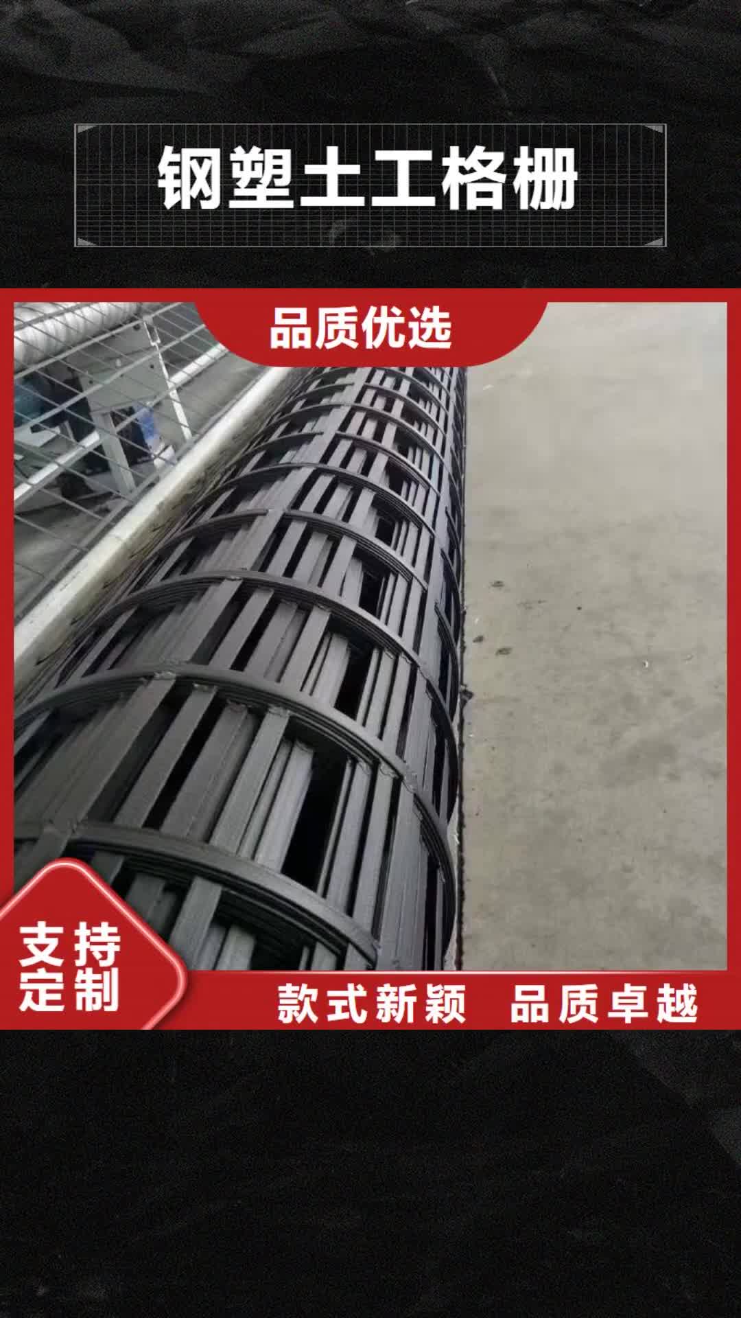 阜新【钢塑土工格栅】 HDPE土工膜库存量大