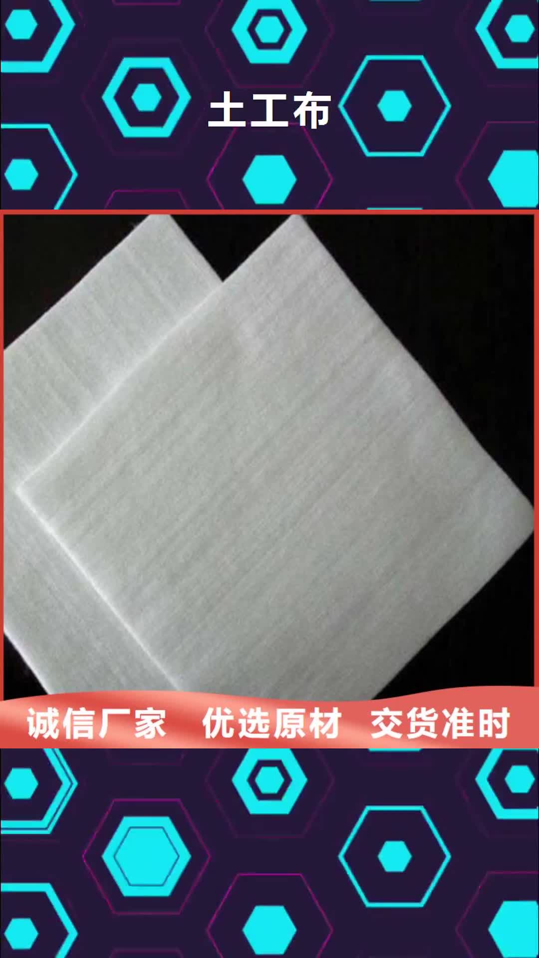 【大兴安岭 土工布 玻纤土工格栅产品细节】