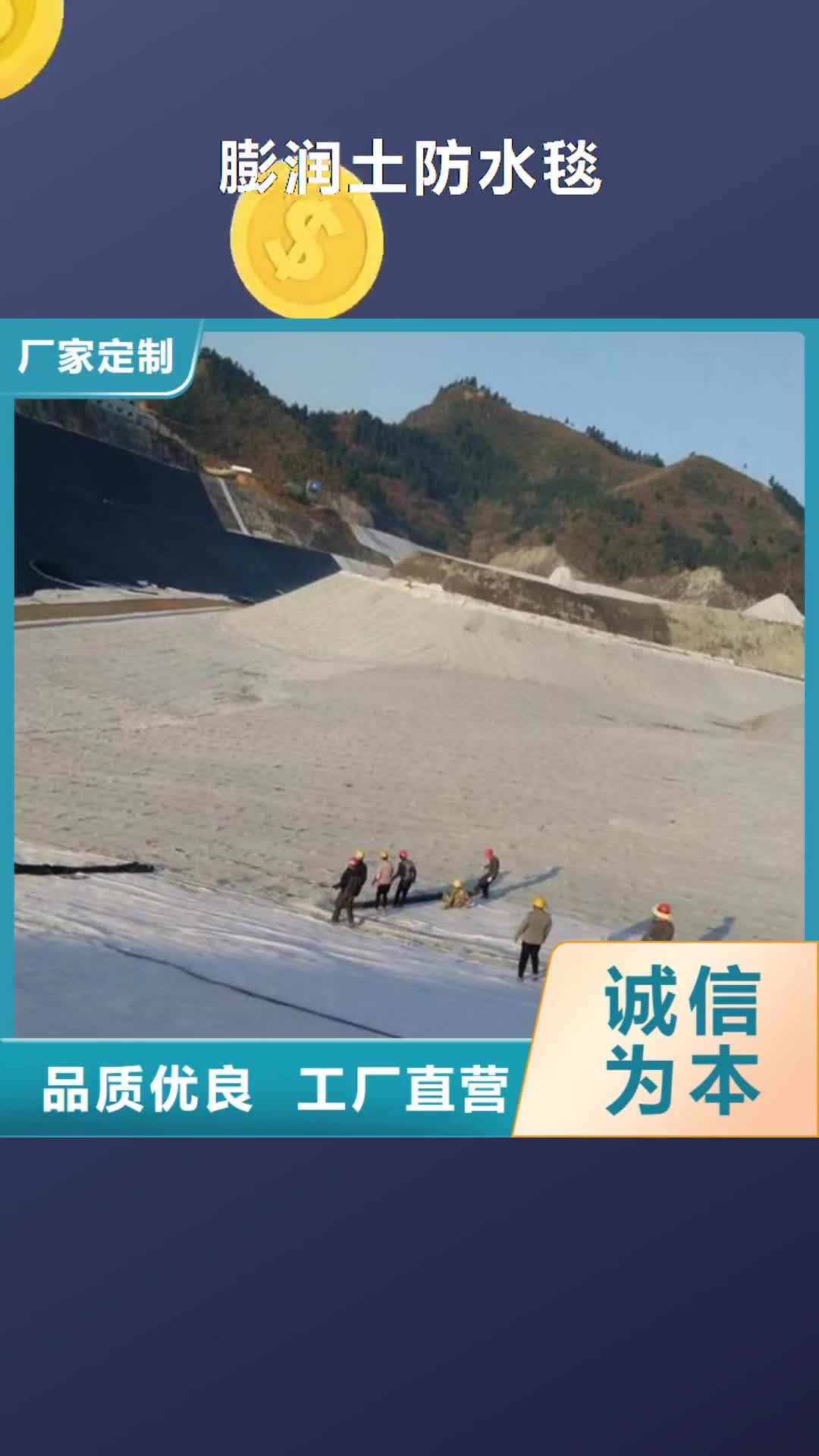 玉林 膨润土防水毯_【塑料土工格栅】厂家采购