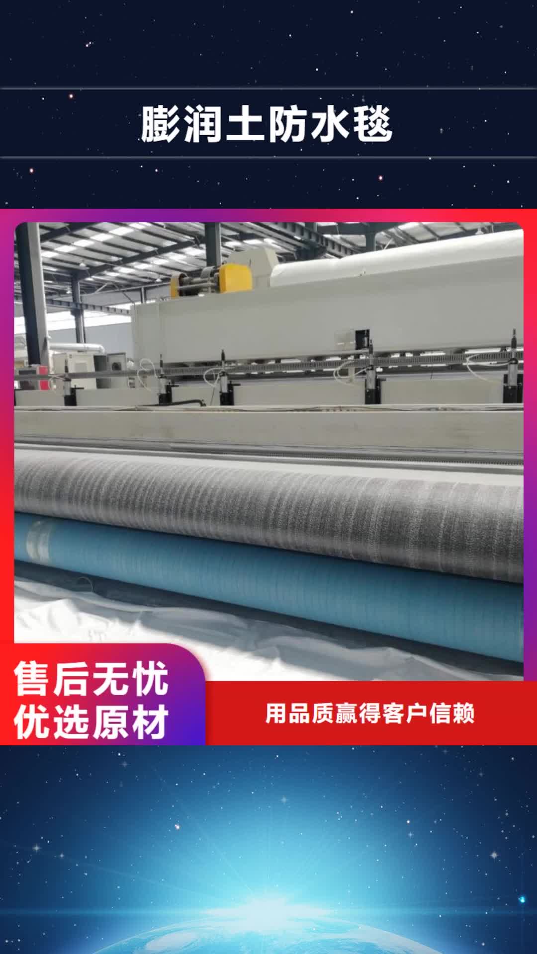 泰州 膨润土防水毯,【钢塑土工格栅】用心做品质