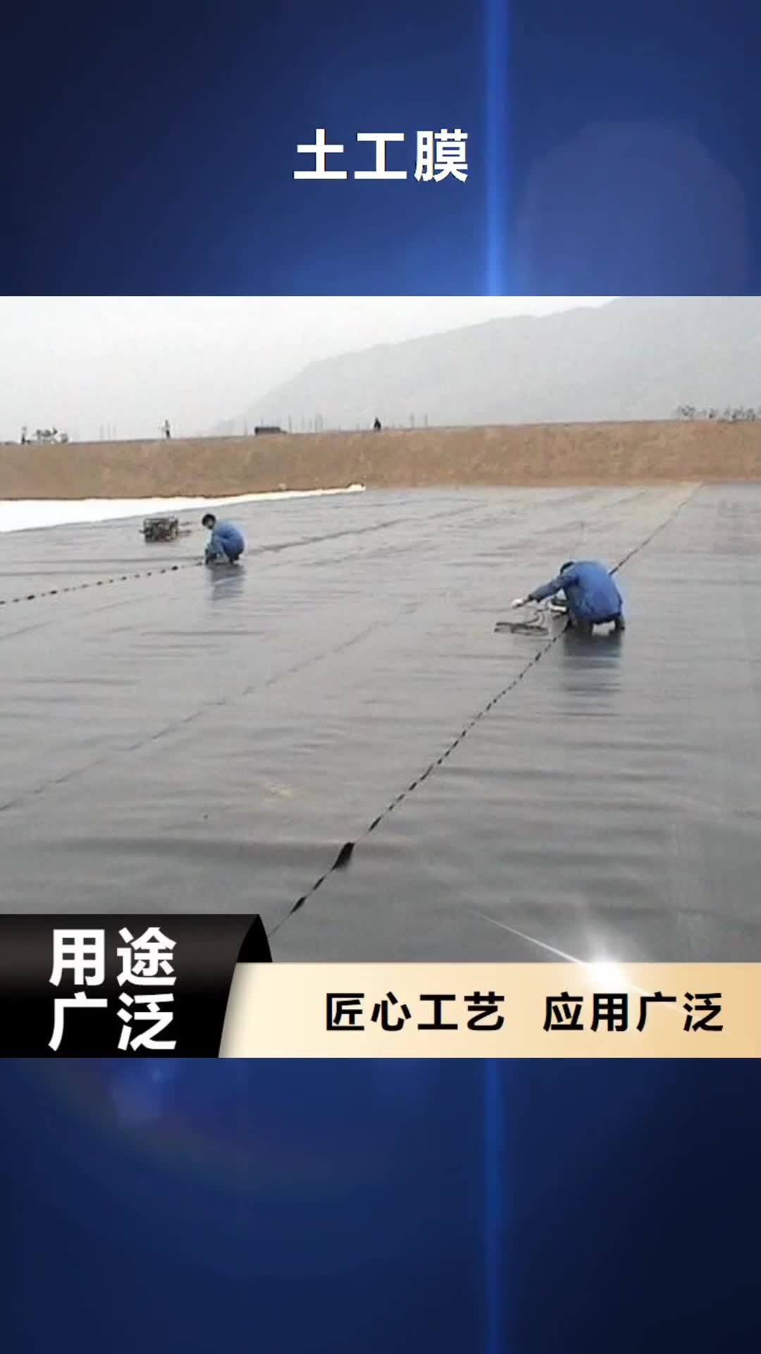 张家口 土工膜-【膨润土防水毯】正规厂家