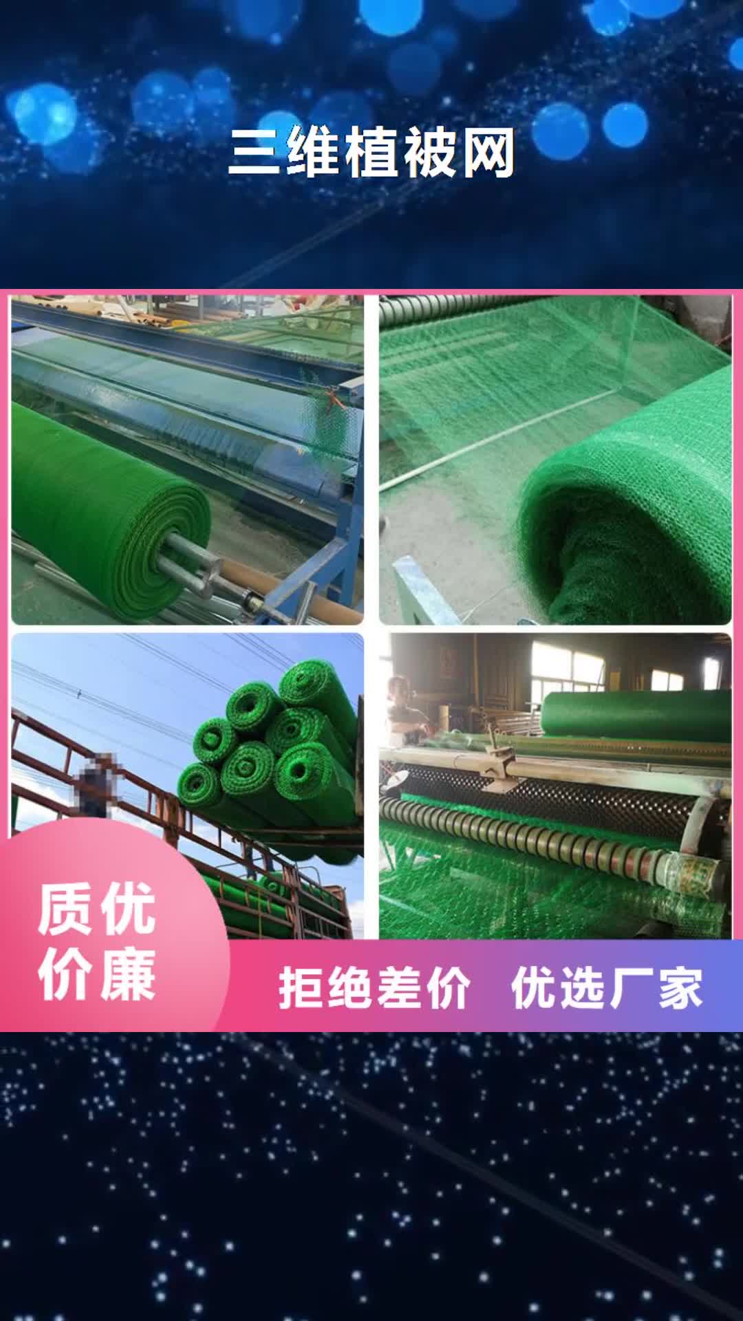 晋城【三维植被网】,养殖膜精工细作品质优良