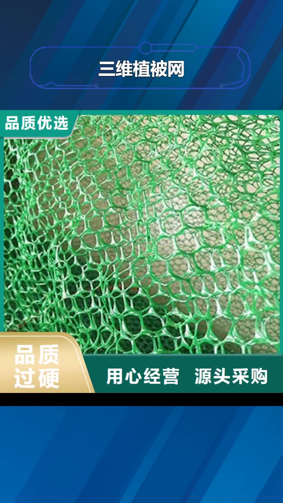 【唐山 三维植被网_HDPE土工膜质优价保】