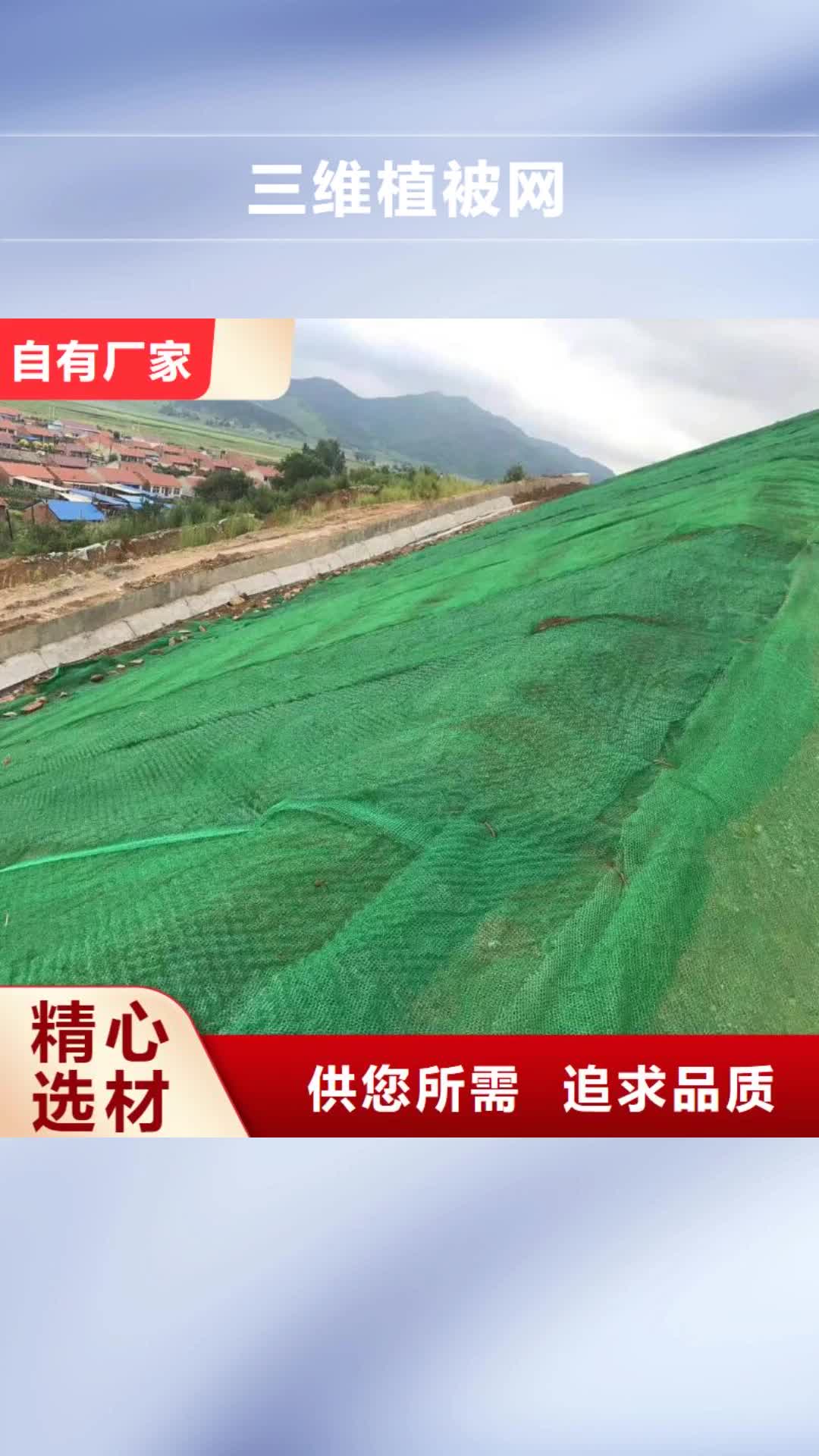 【伊犁 三维植被网-塑料土工格栅按需设计】