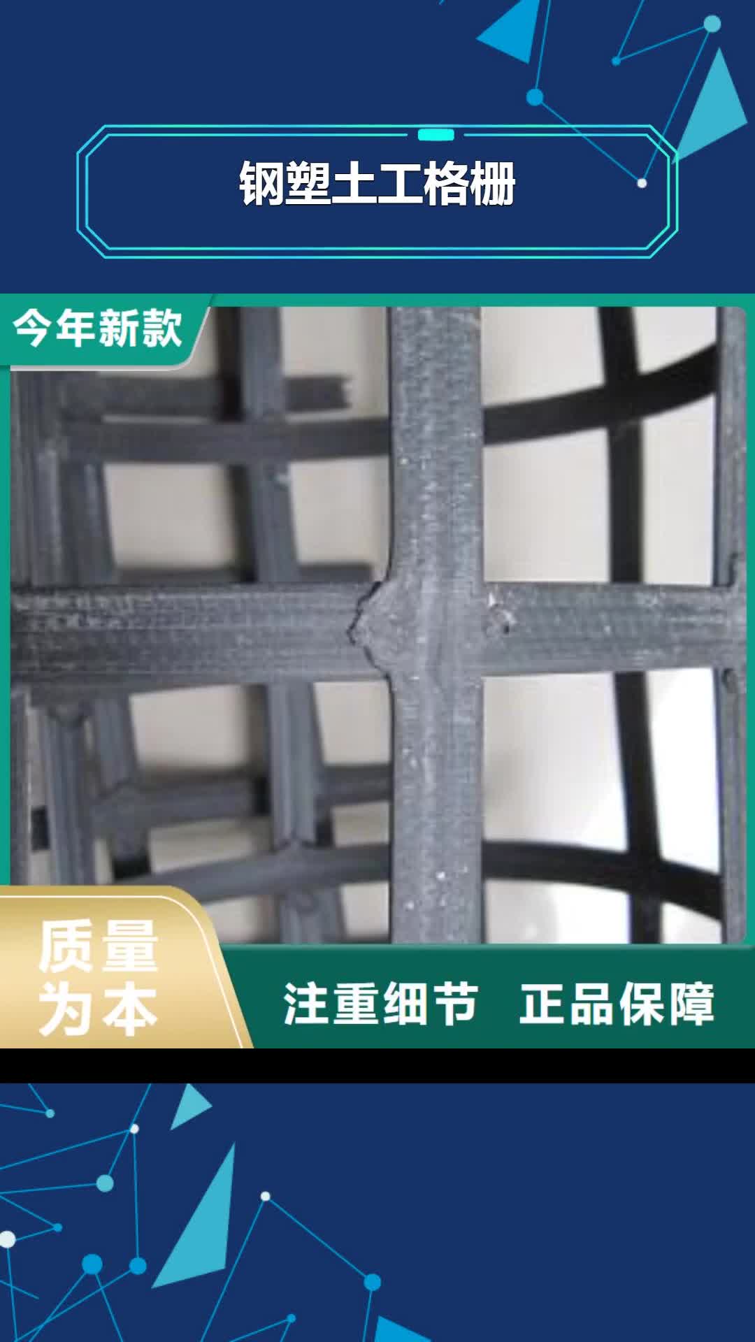 天津 钢塑土工格栅-【单向塑料格栅】精工制作