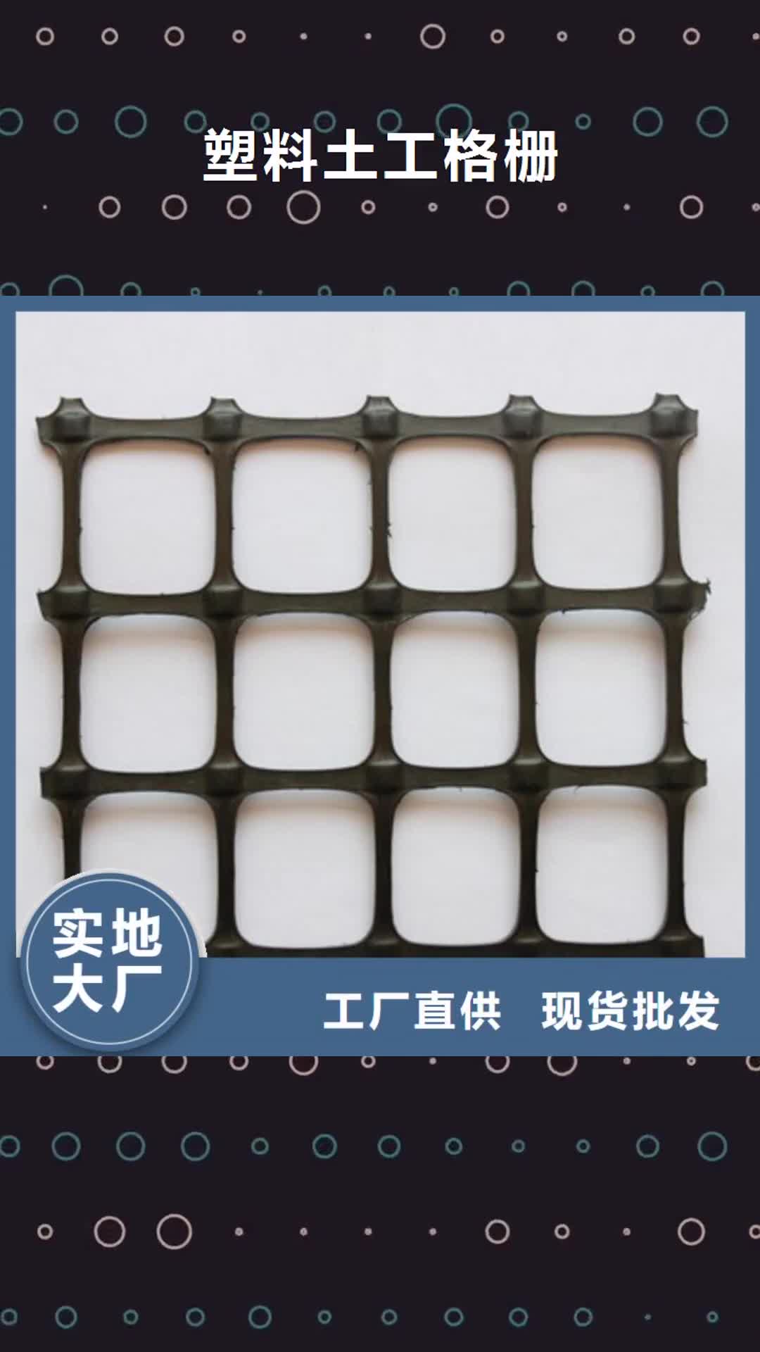 【蚌埠 塑料土工格栅,短丝土工布支持定制批发】