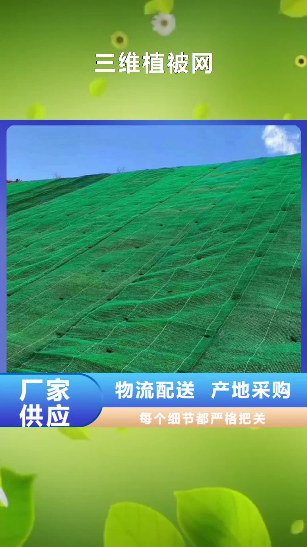 重庆 三维植被网,【pp焊接土工格栅】服务始终如一