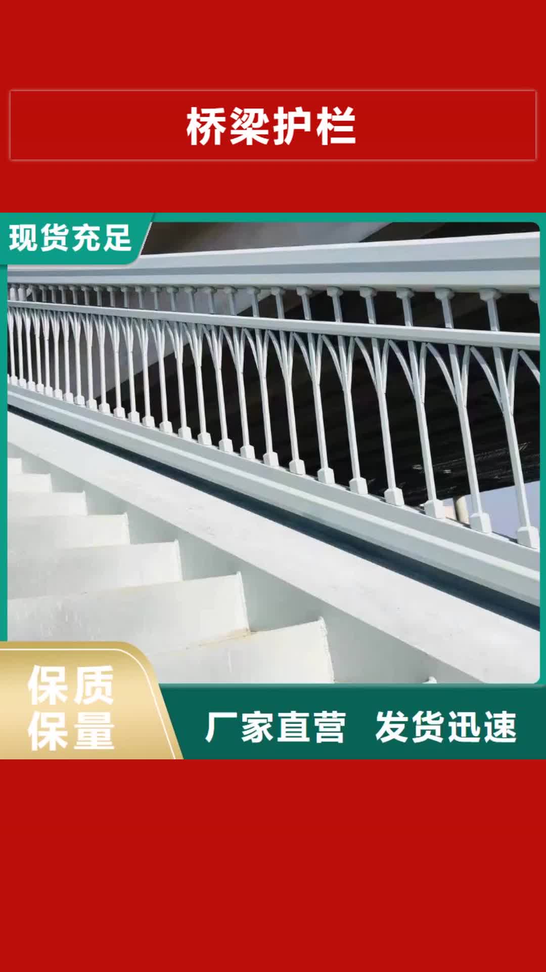 河南【桥梁护栏】 天桥护栏实体厂家