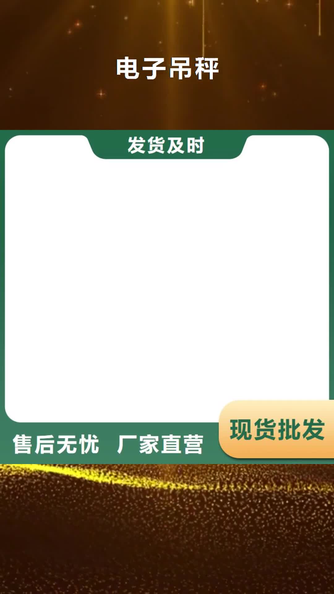 保山 电子吊秤-【地磅仪表】用品质说话