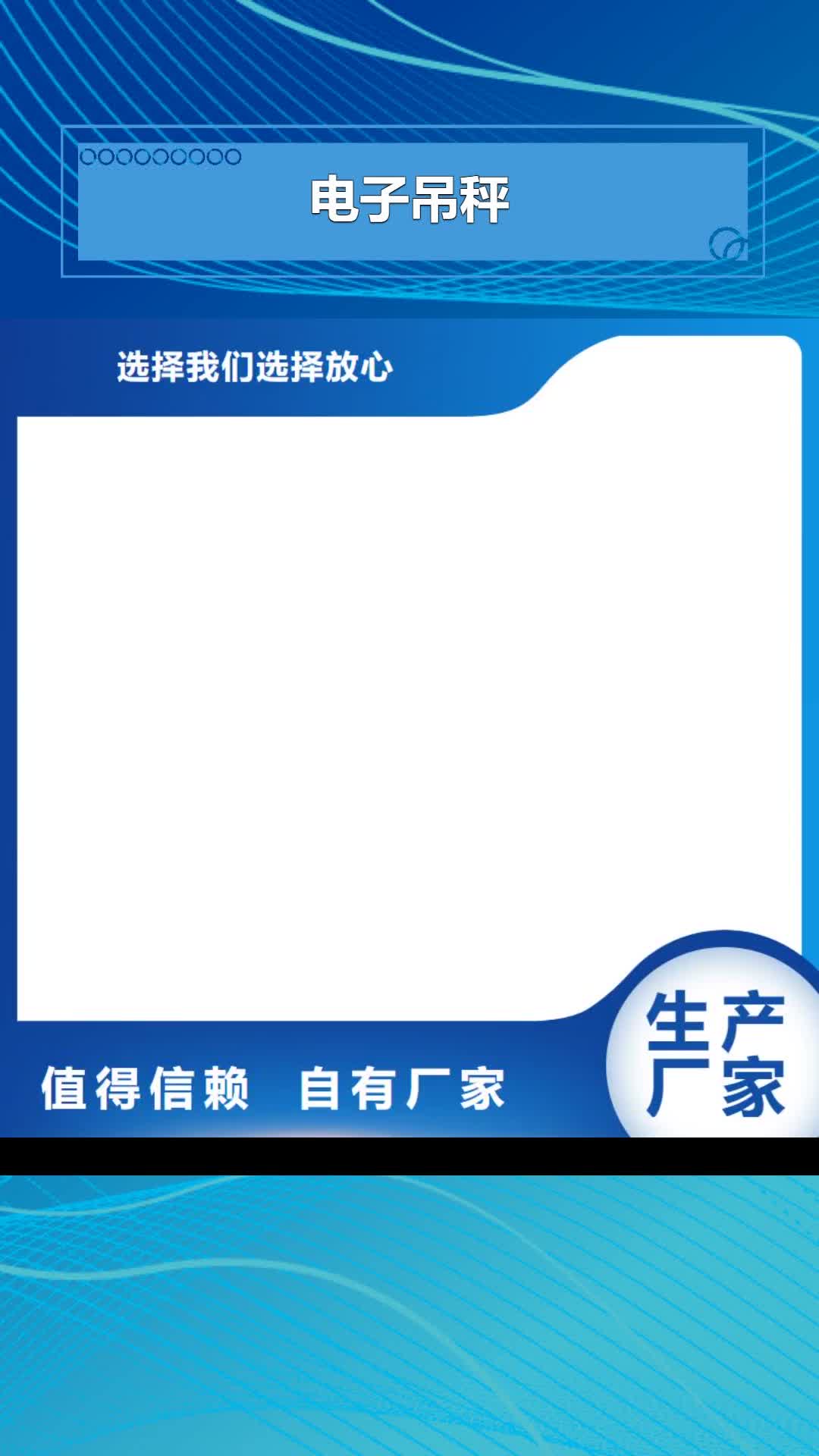 南京 电子吊秤,【地磅】工厂直供