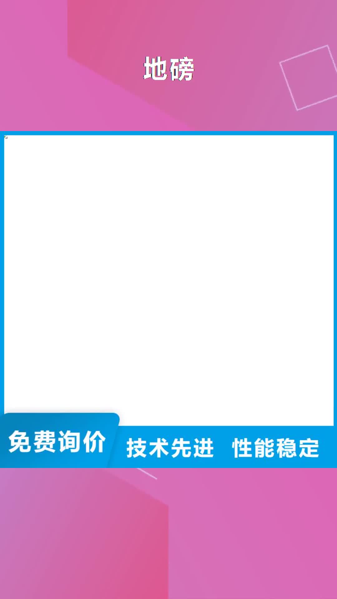 北京 地磅_【电子吊磅】工厂批发